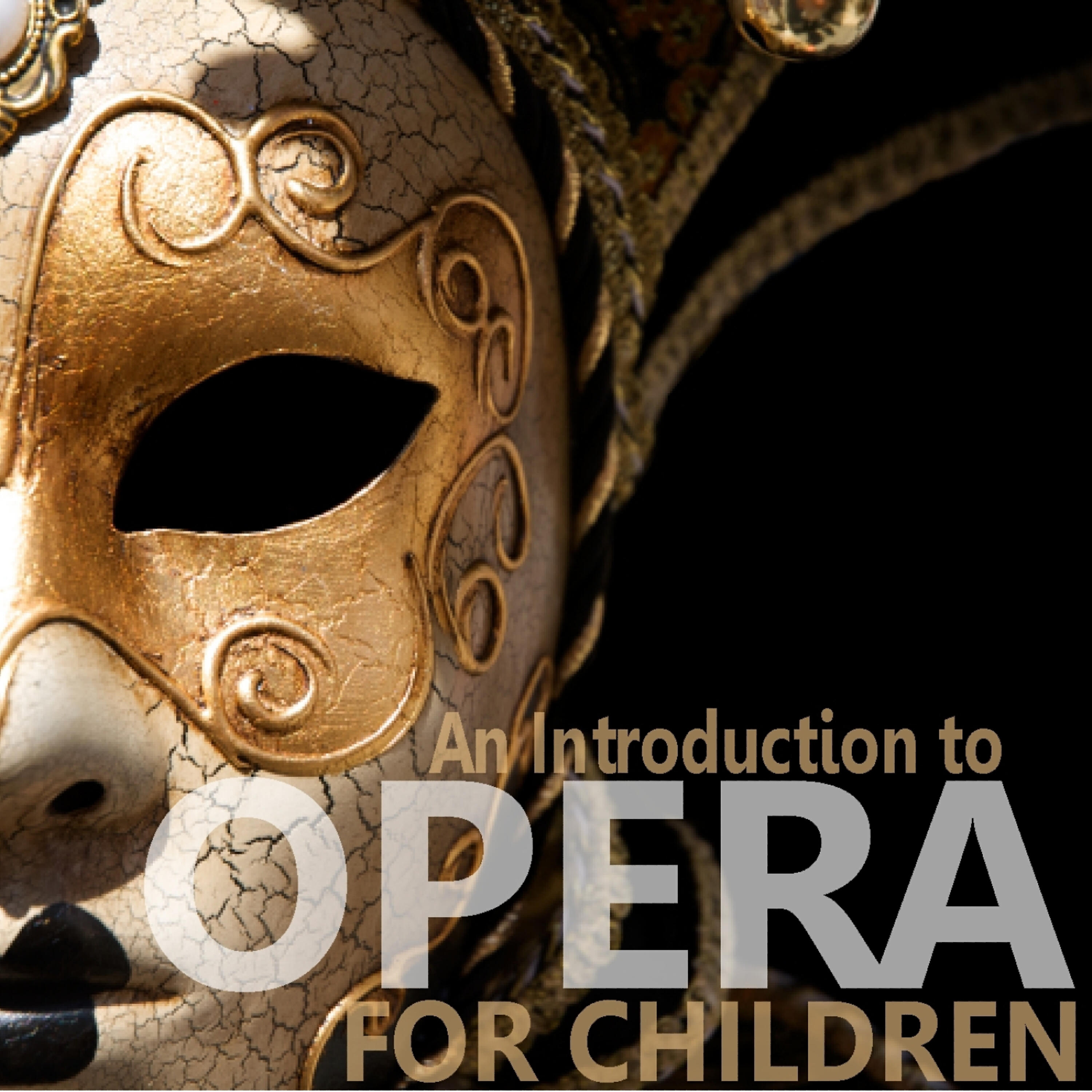 Young People's Opera House Orchestra