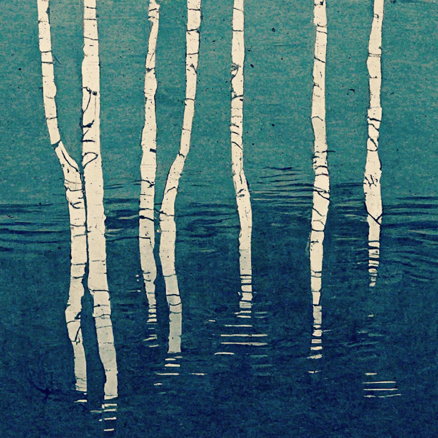 Longlake
