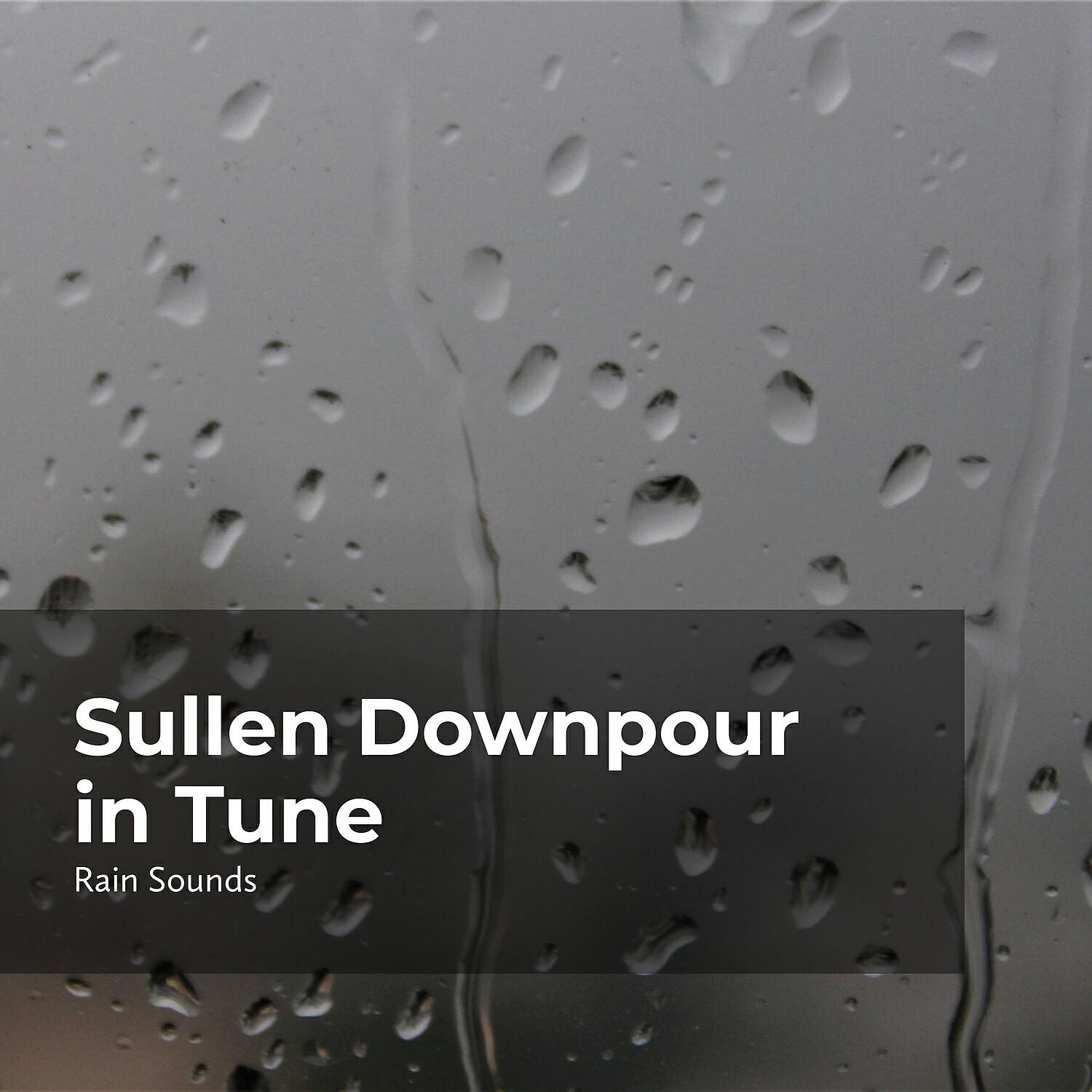 Релиз Sullen Downpour in Tune