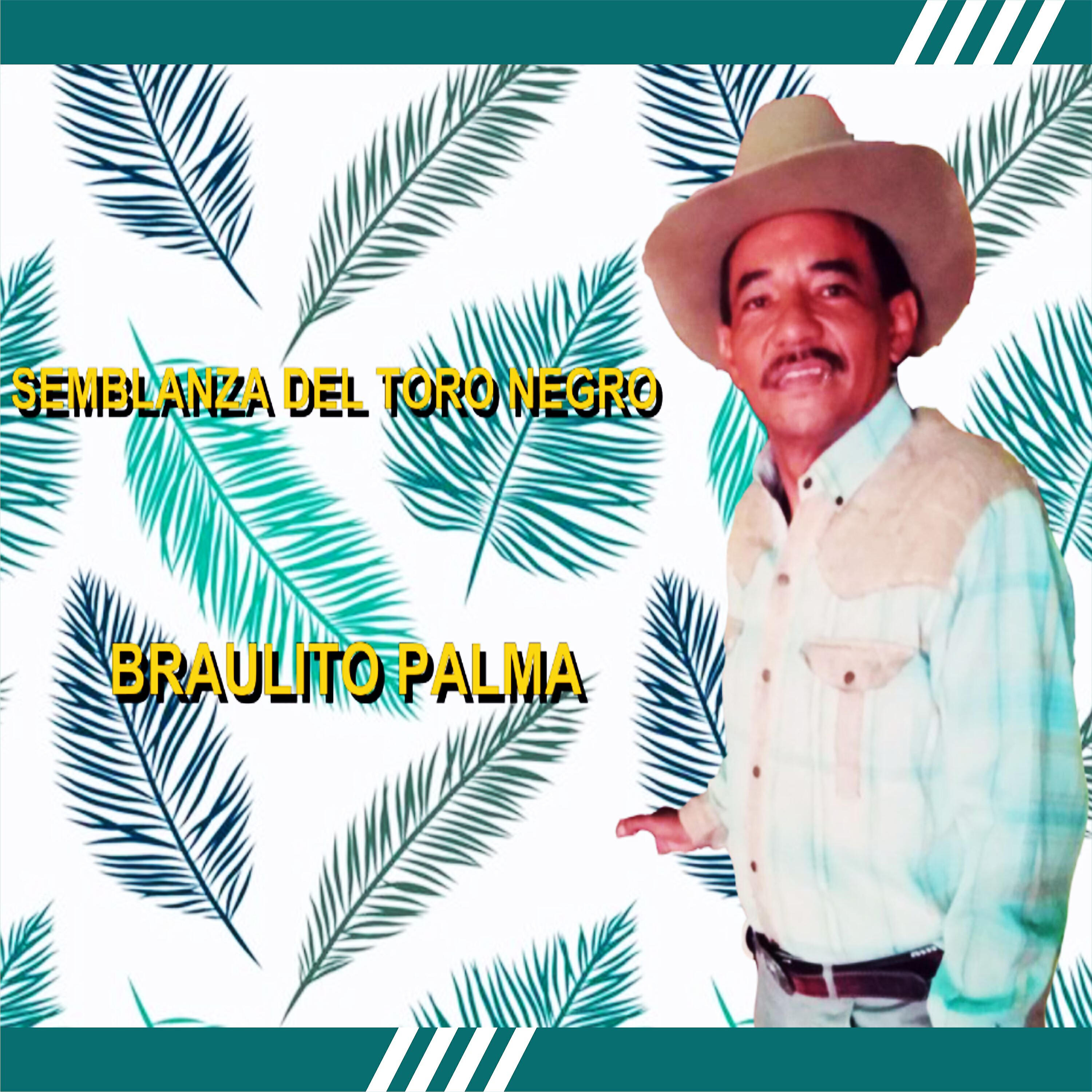 Braulito Palma