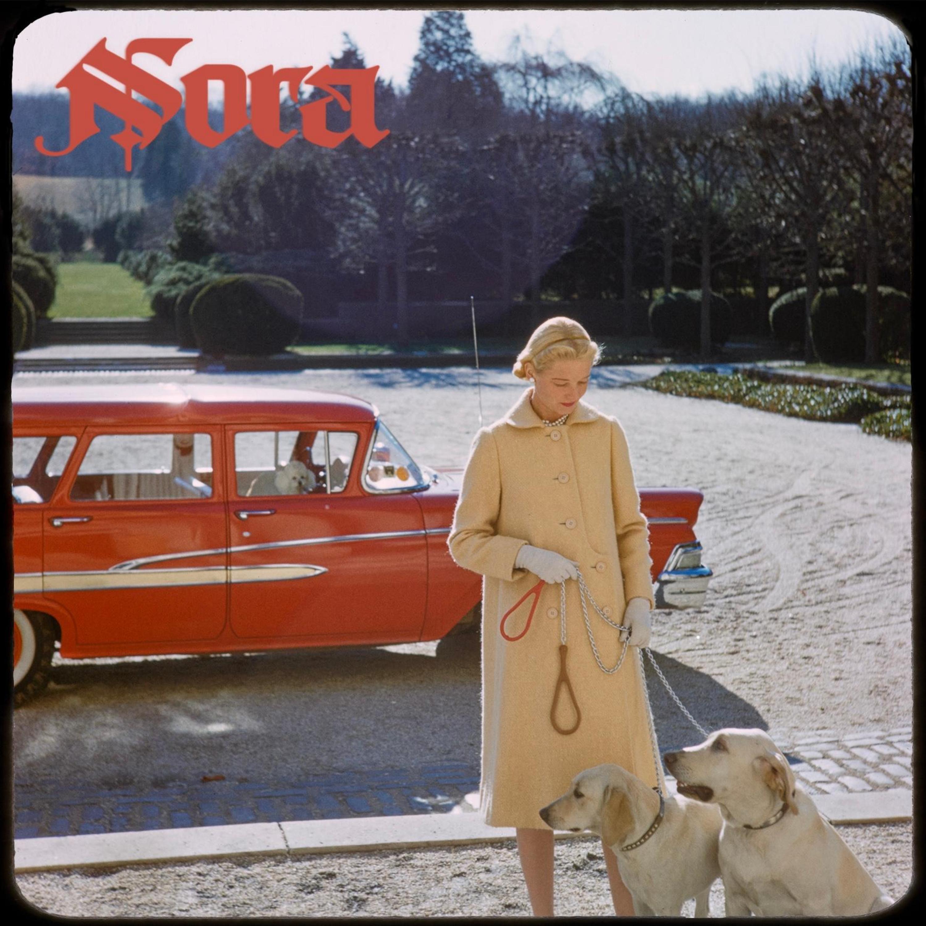 Релиз Nora