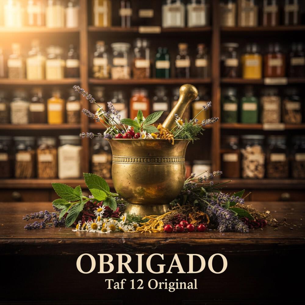 Релиз Obrigado (Taf 12 Original Mix)