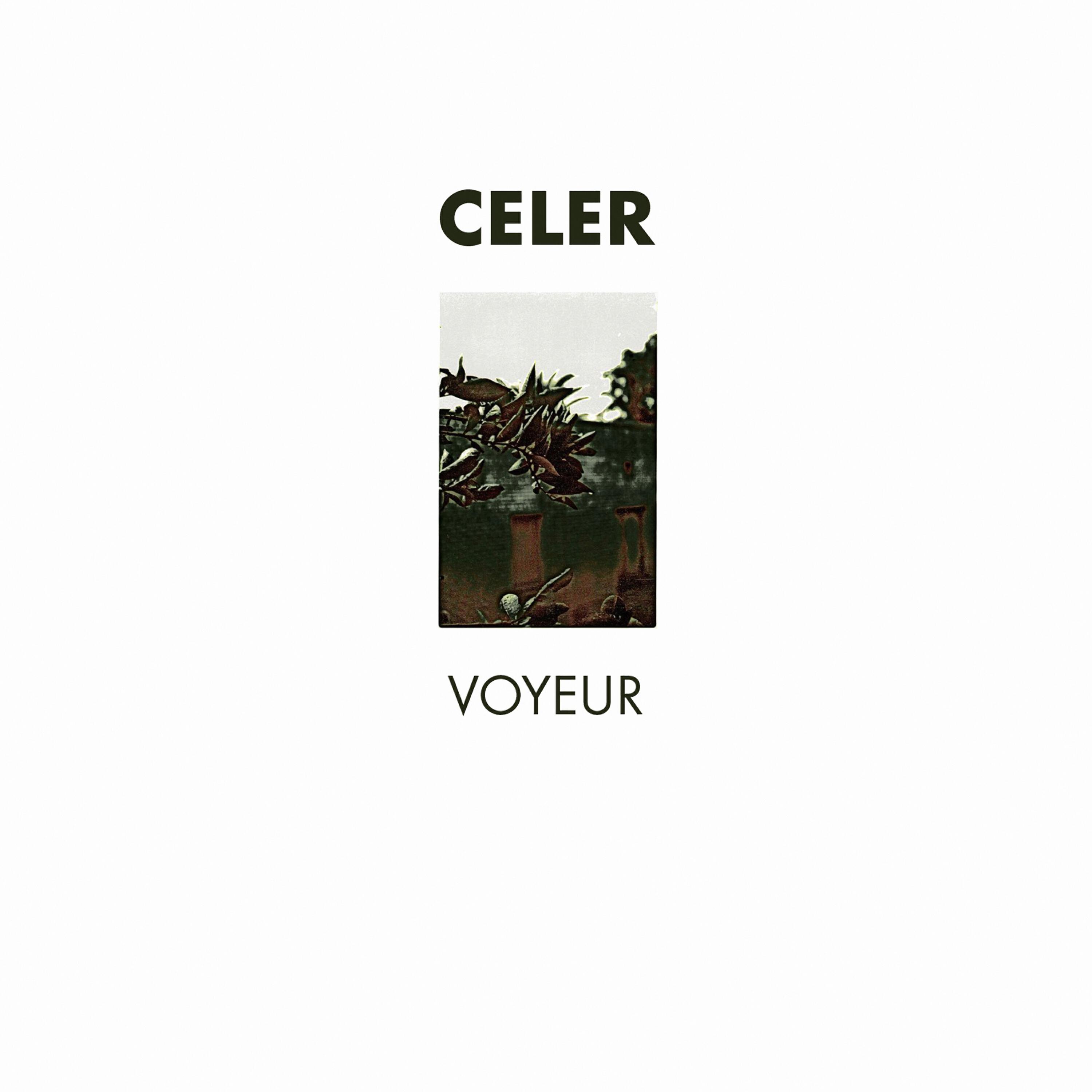 Релиз Voyeur
