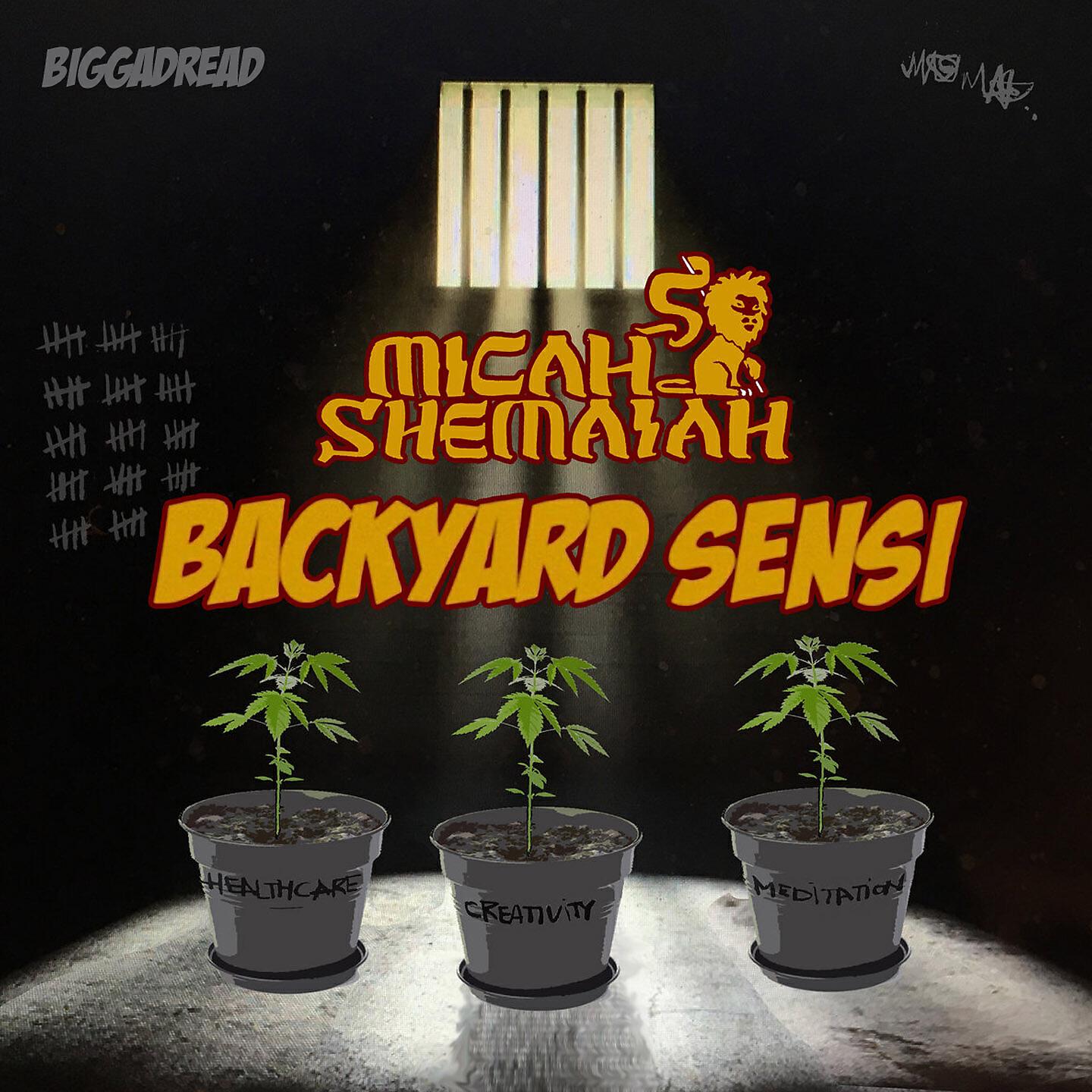 Трек Backyard Sensi (Dub Mix)
