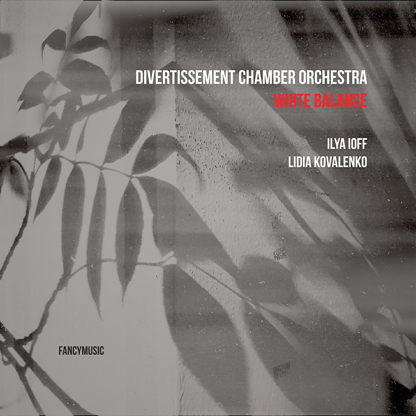 Divertissement Chamber Orchestra