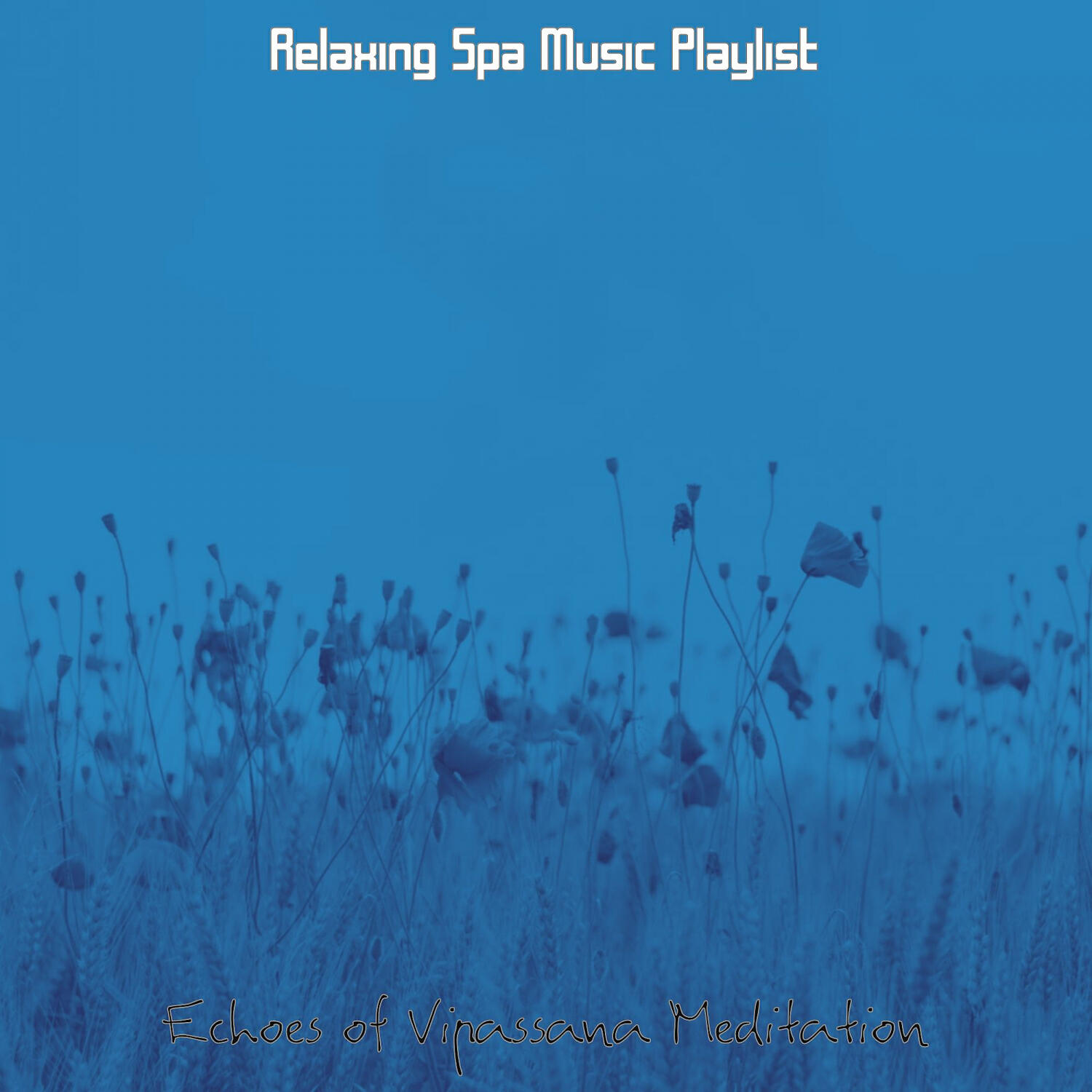 Релиз Echoes of Vipassana Meditation