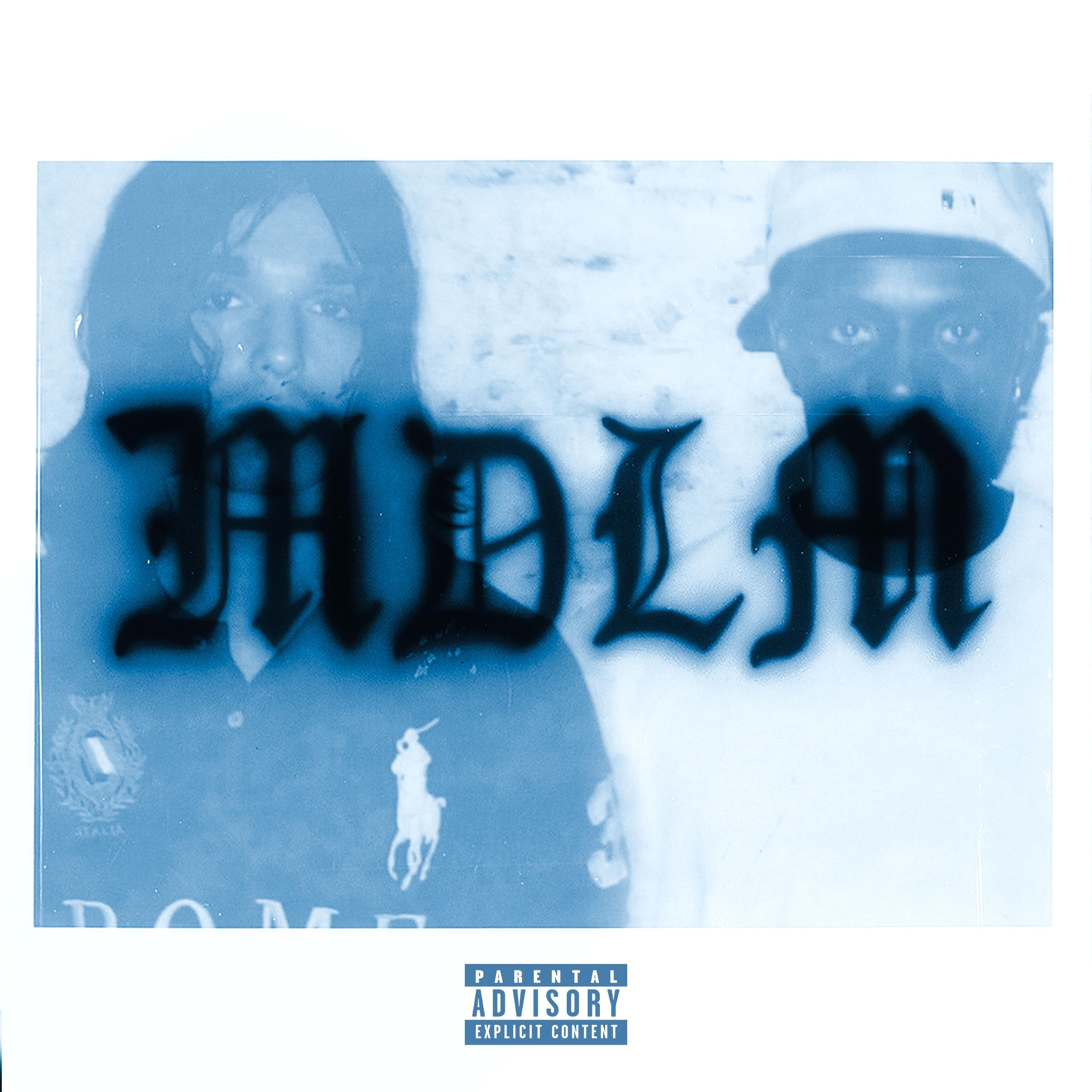 Релиз MDLM