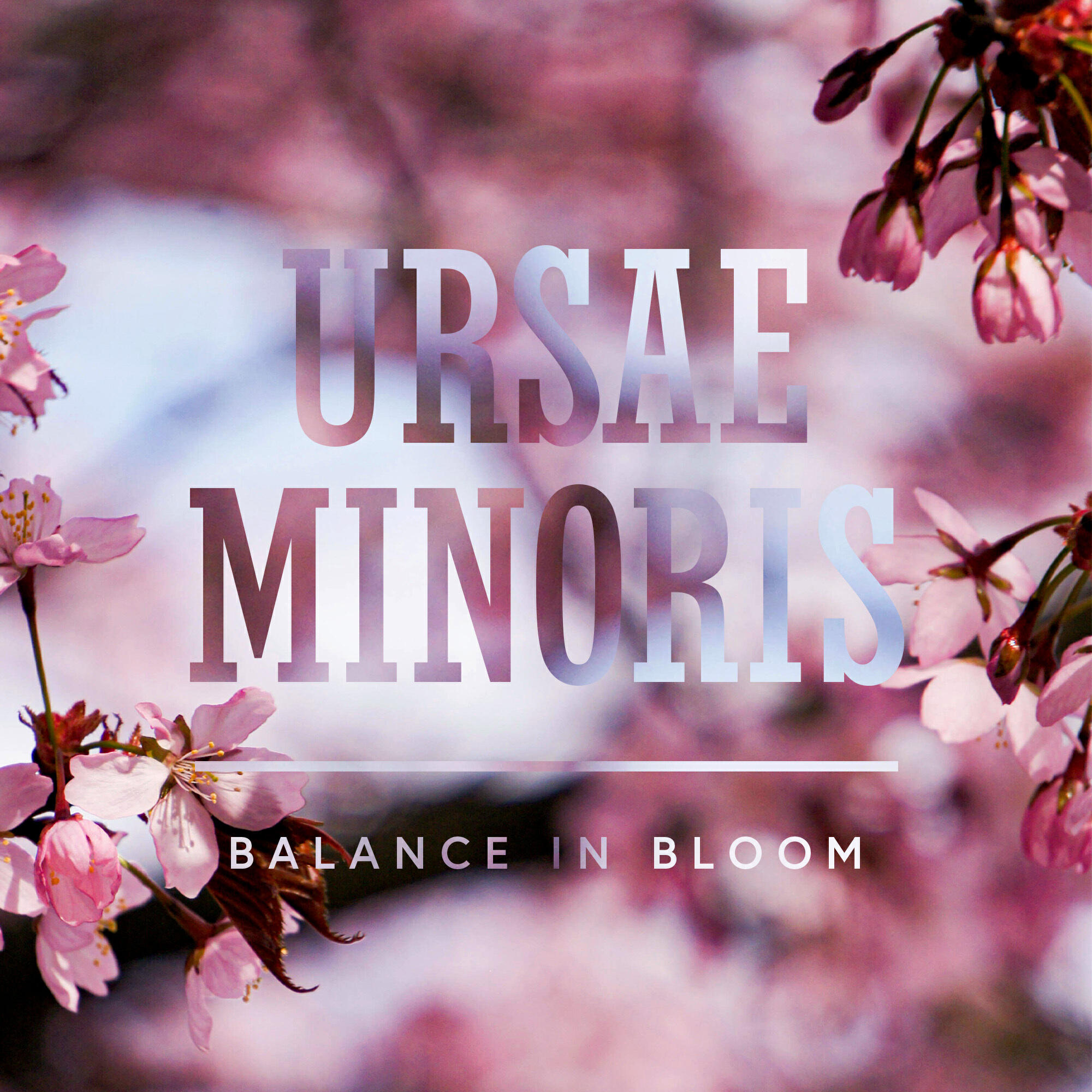Релиз Balance in Bloom