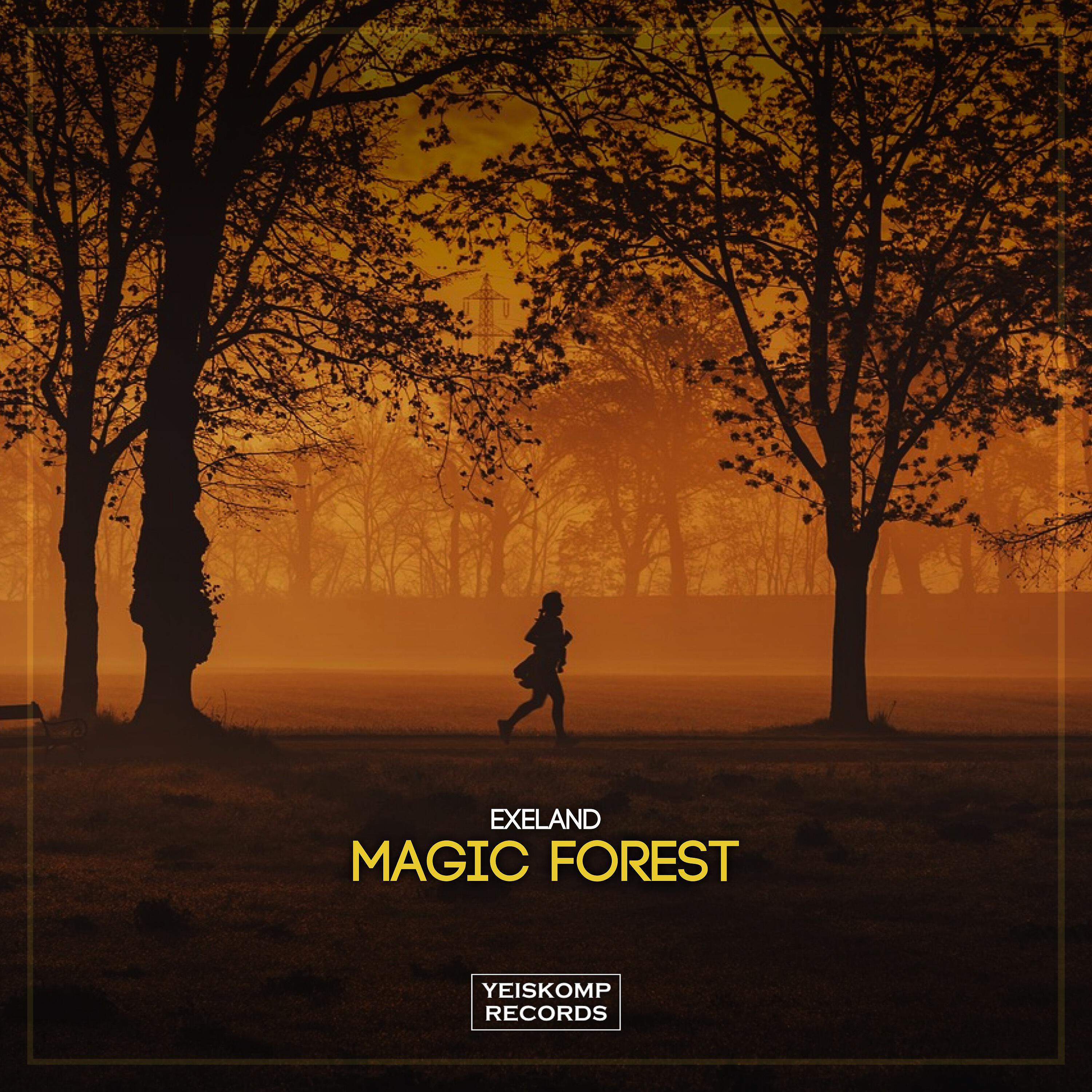 Релиз Magic Forest