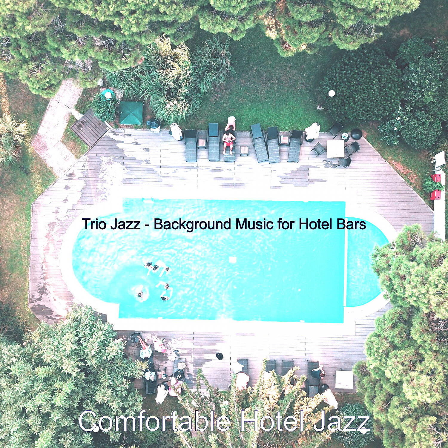 Comfortable Hotel Jazz