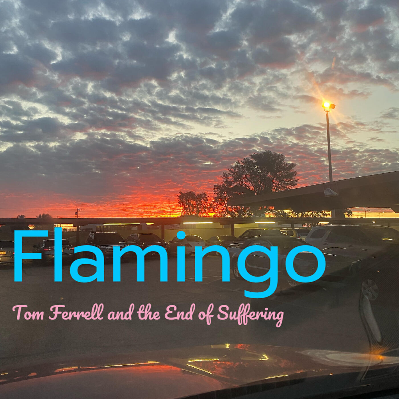 Релиз Flamingo