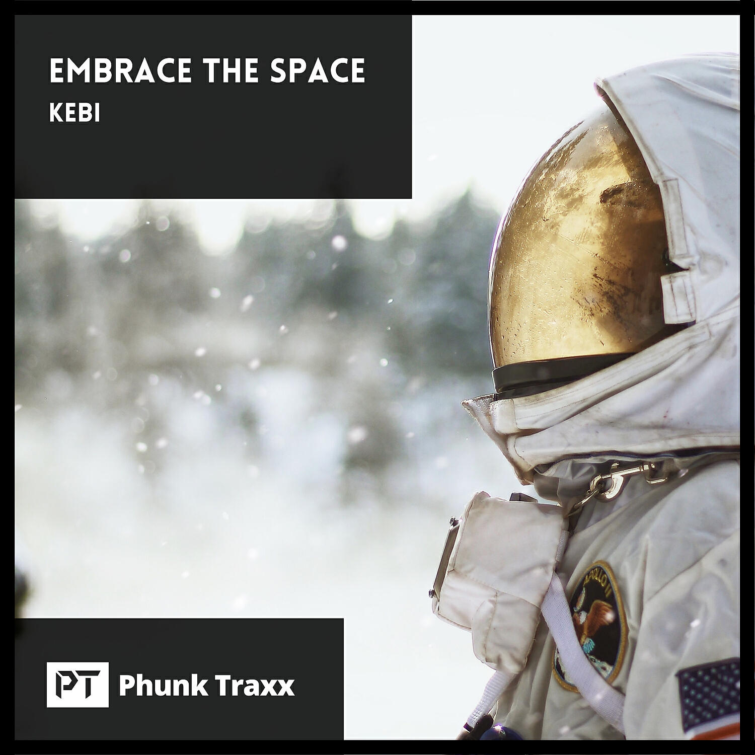Релиз Embrace The Space