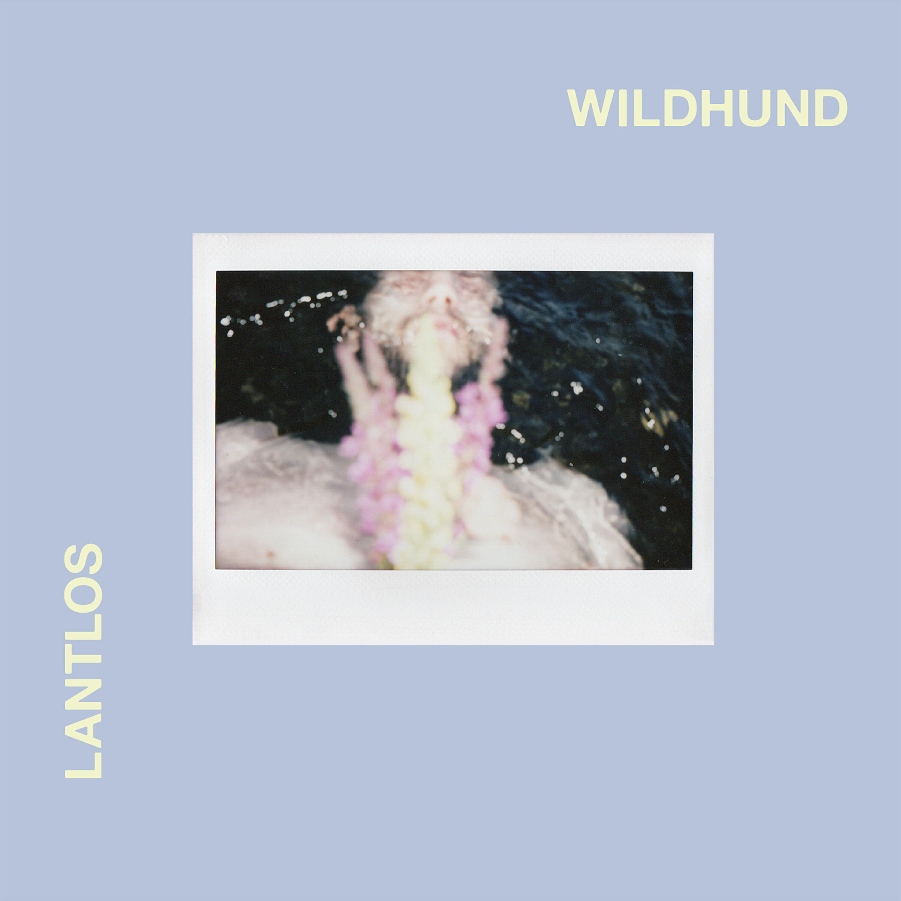 Релиз Wildhund