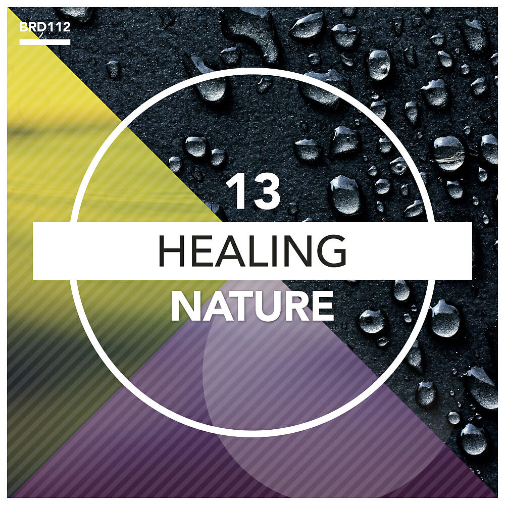 Релиз Healing Nature