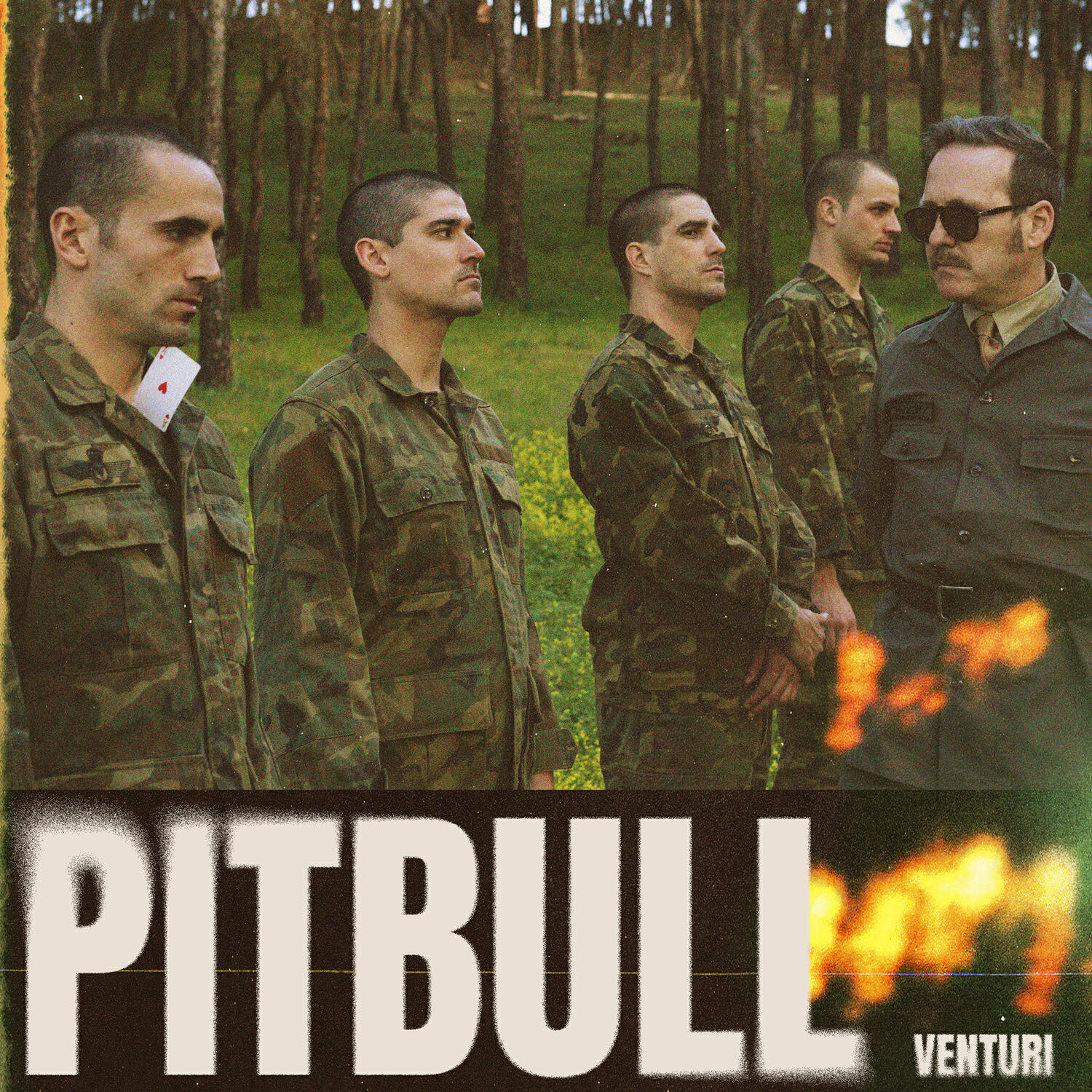 Релиз Pitbull