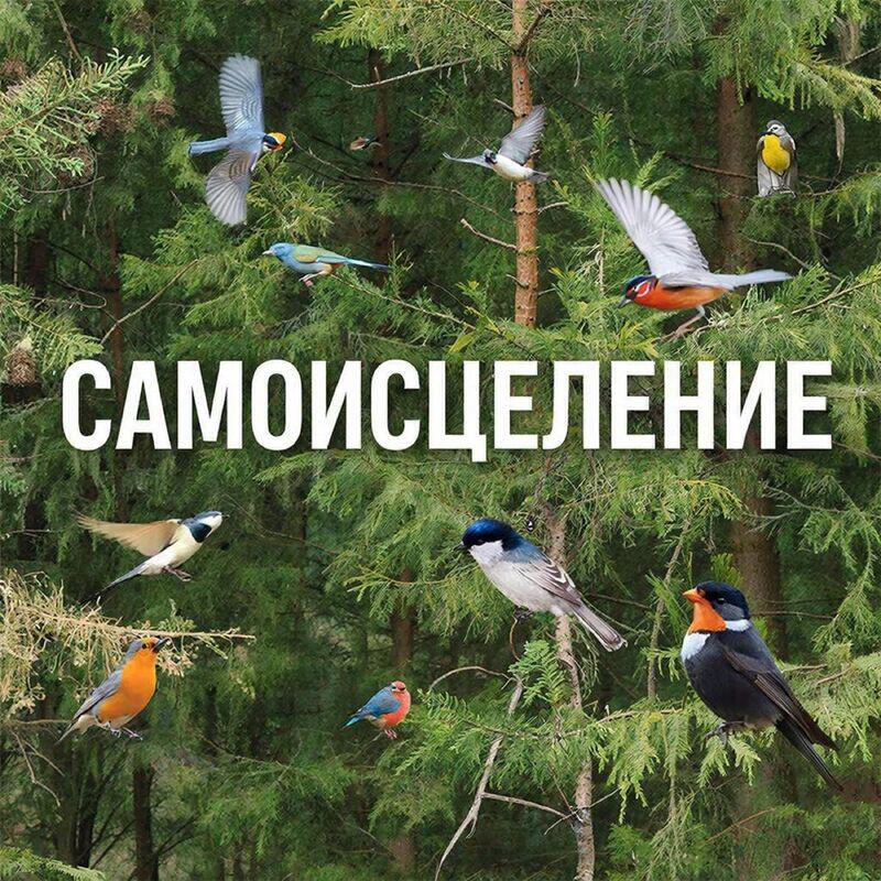 Релиз САМОИСЦЕЛЕНИЕ