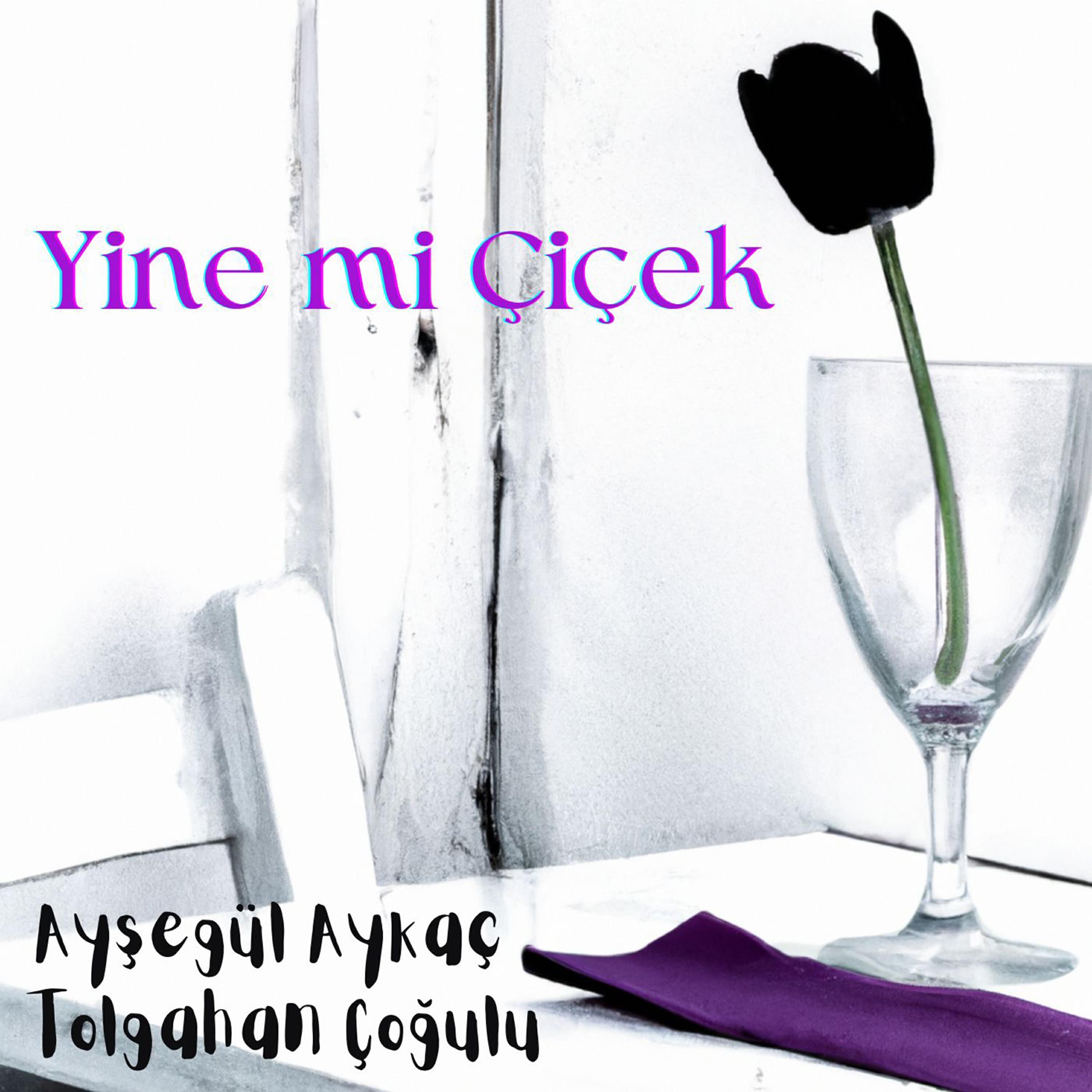Ayşegül Aykaç