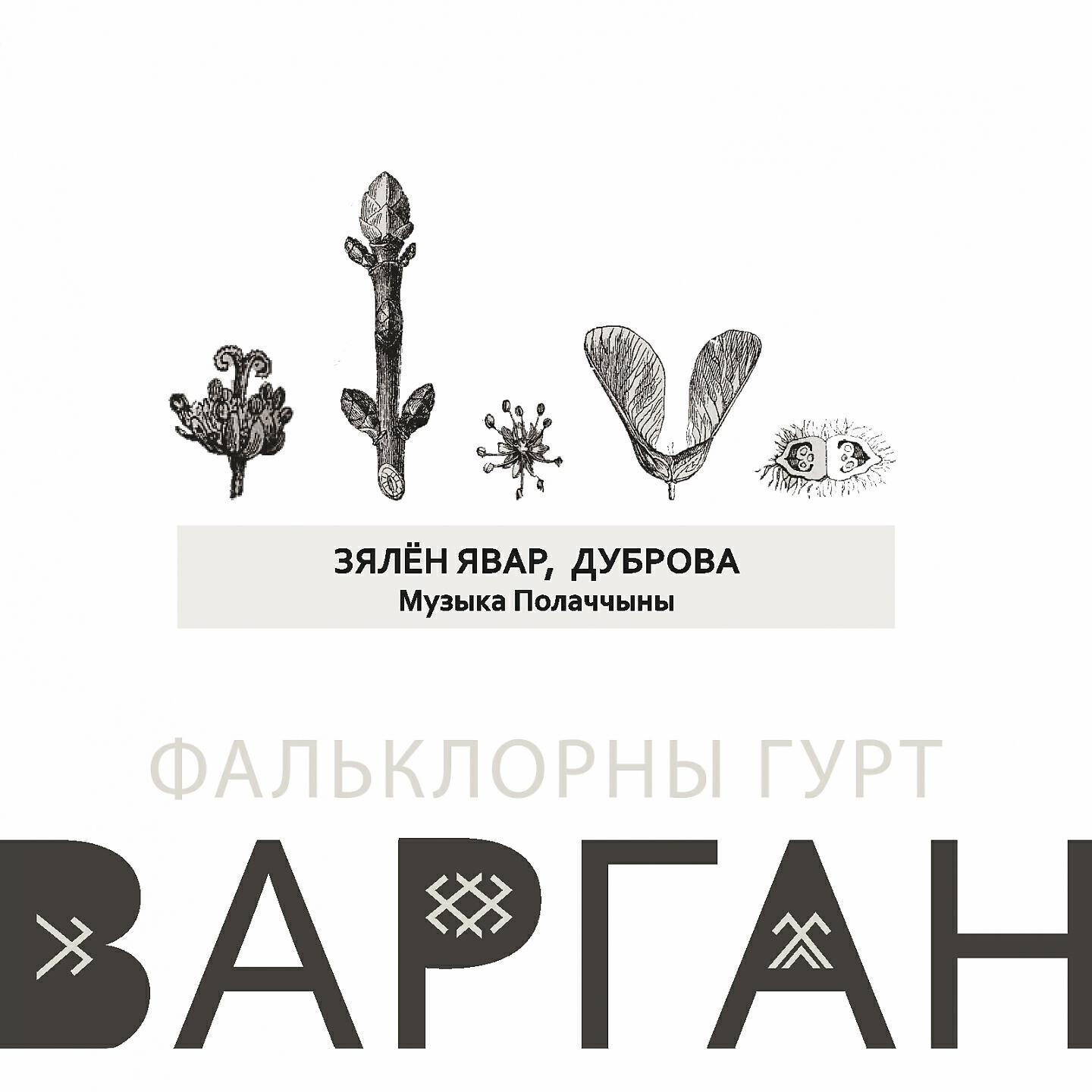 Релиз Зялён явар, дуброва. Музыка Полаччыны