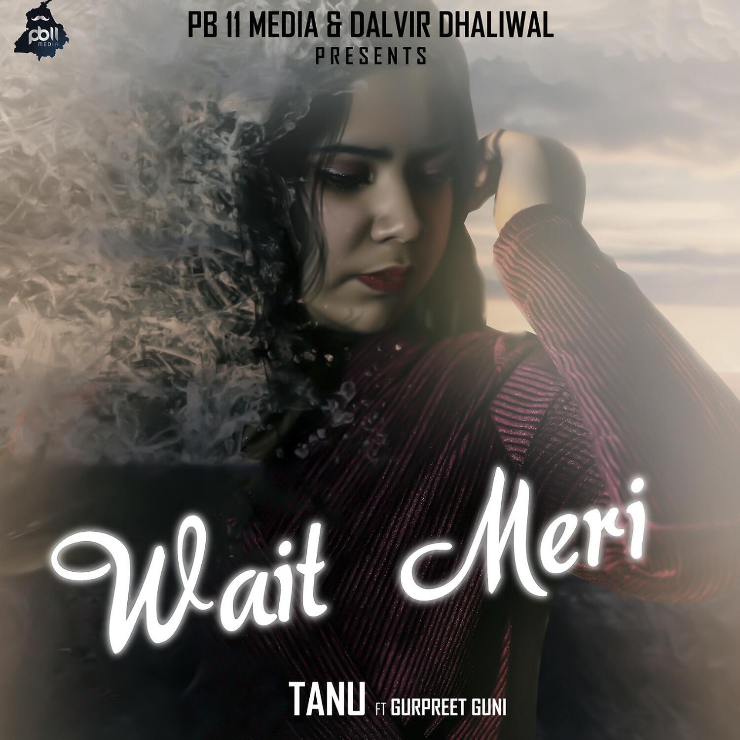 Релиз Wait Meri