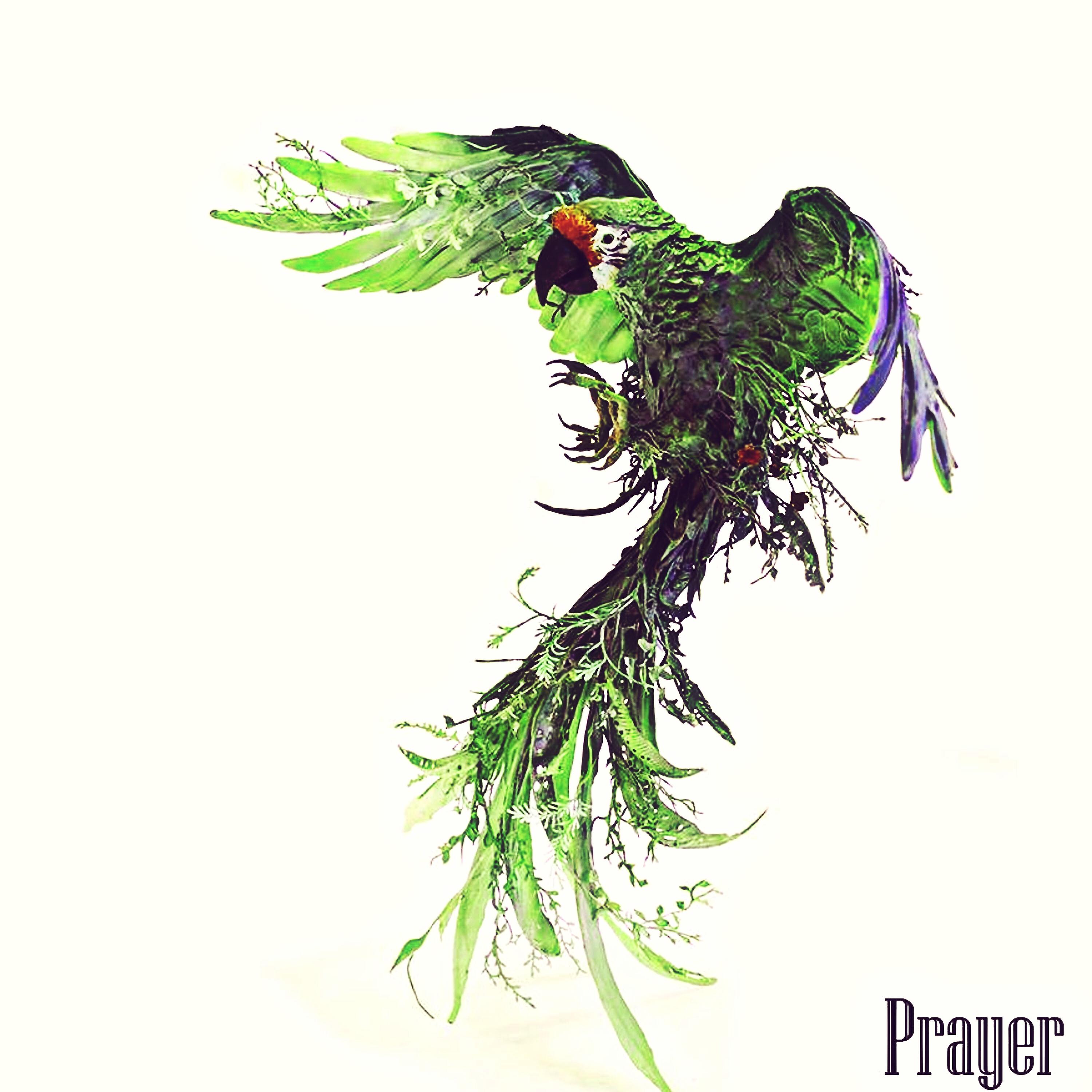 Релиз Prayer