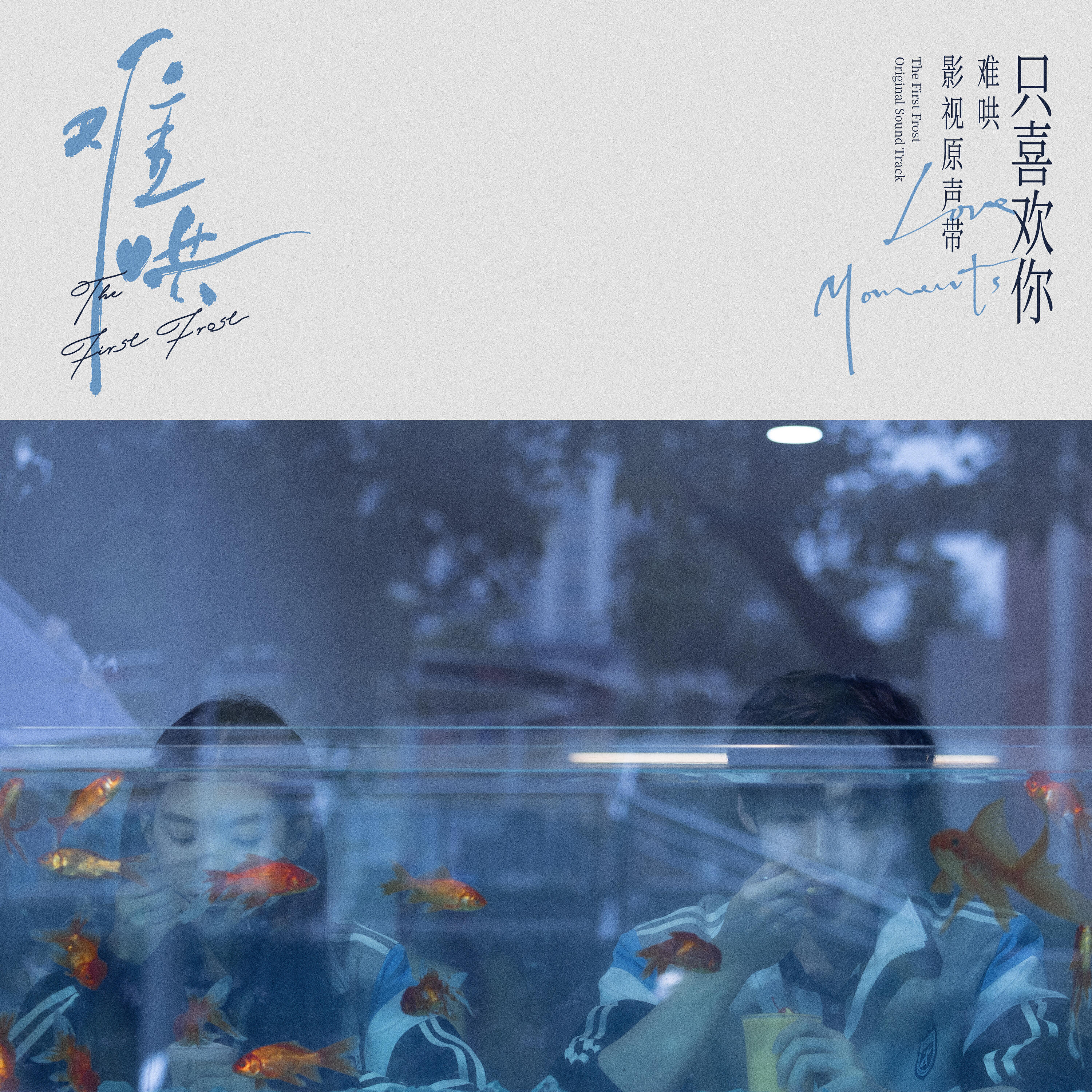 Релиз 电视剧《难哄》影视原声带·只喜欢你Love Moments