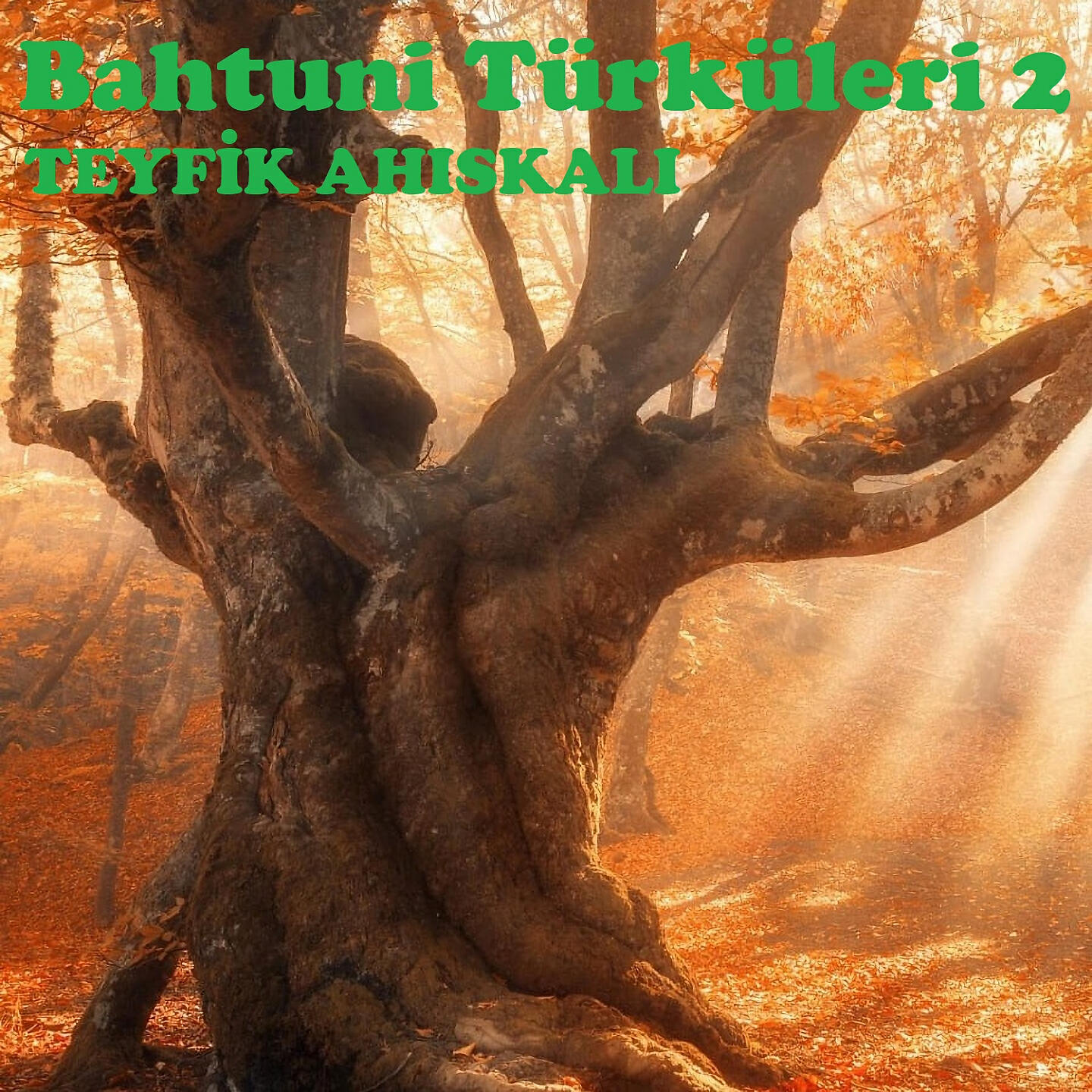 Релиз Bahtuni Türküleri 2