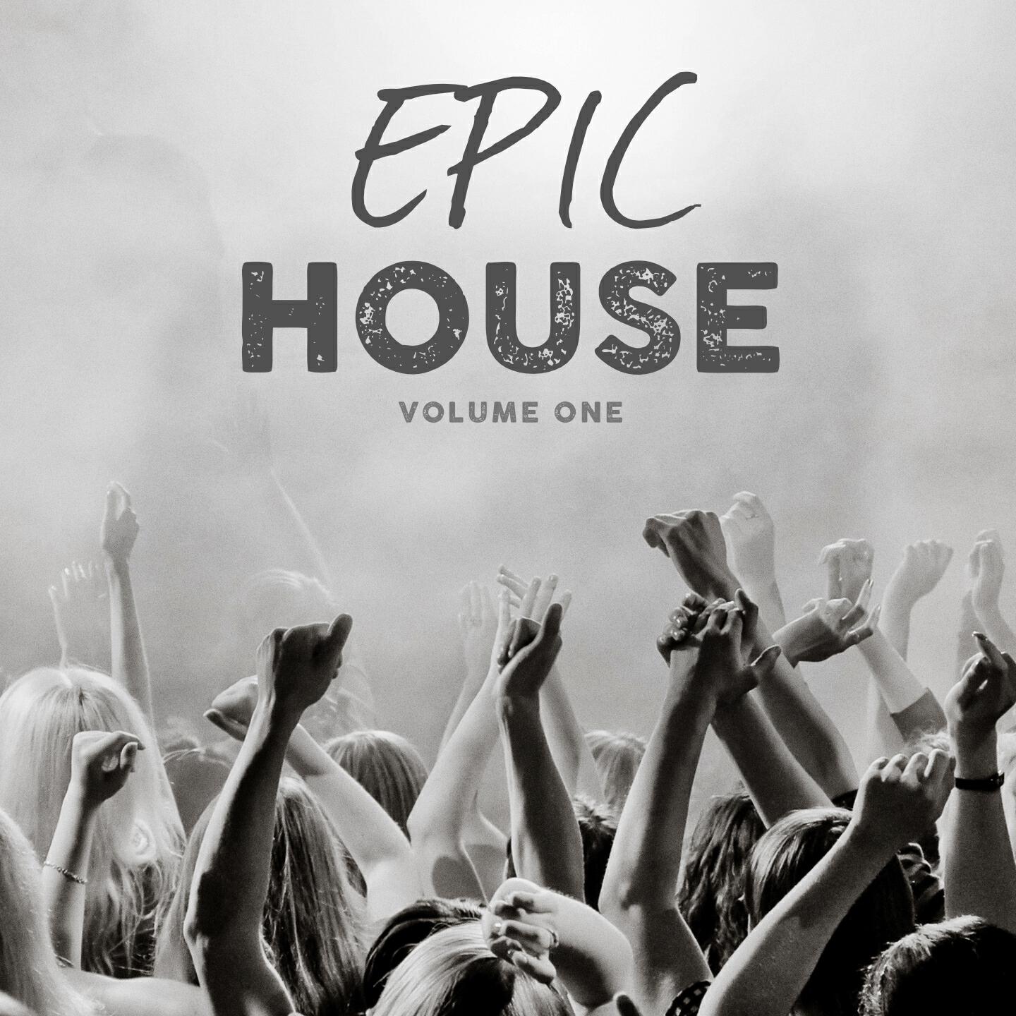 Релиз Epic House, Vol. 1
