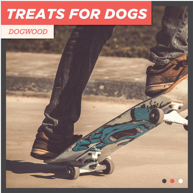 Релиз Dogwood