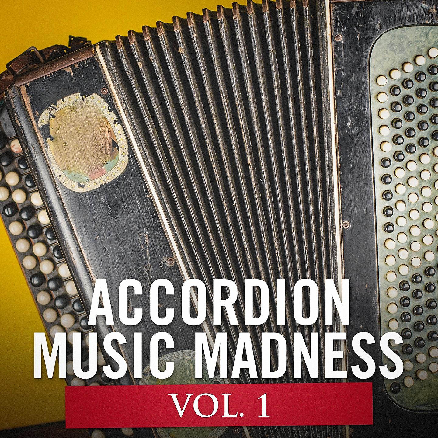 Релиз Accordion Music Madness, Vol. 1