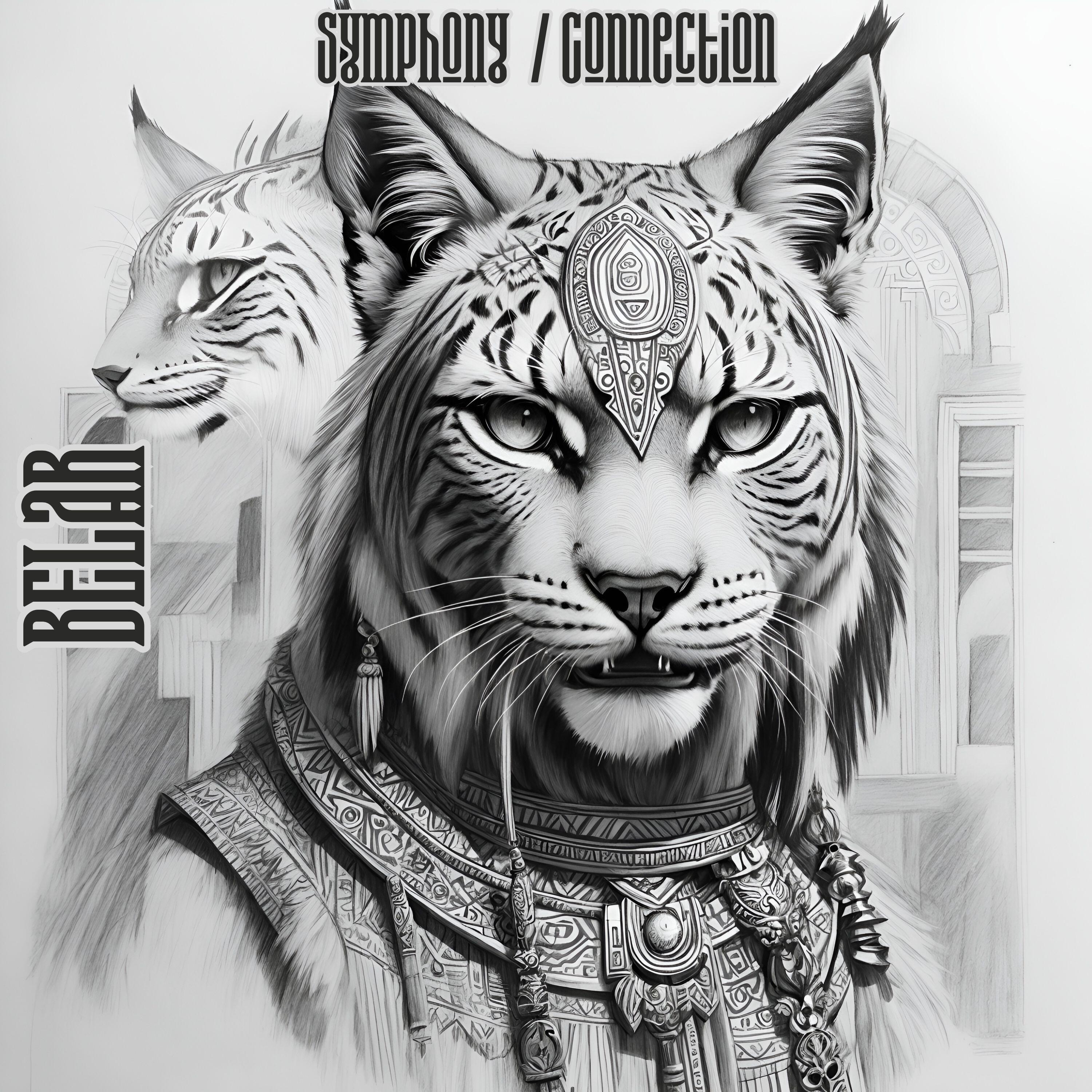 Релиз Symphony \ Connection