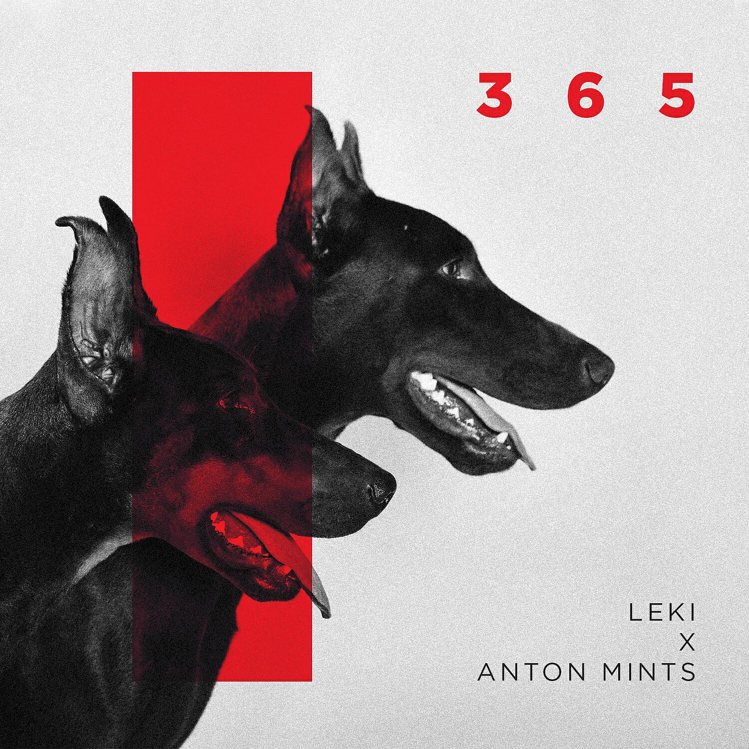 Релиз 365