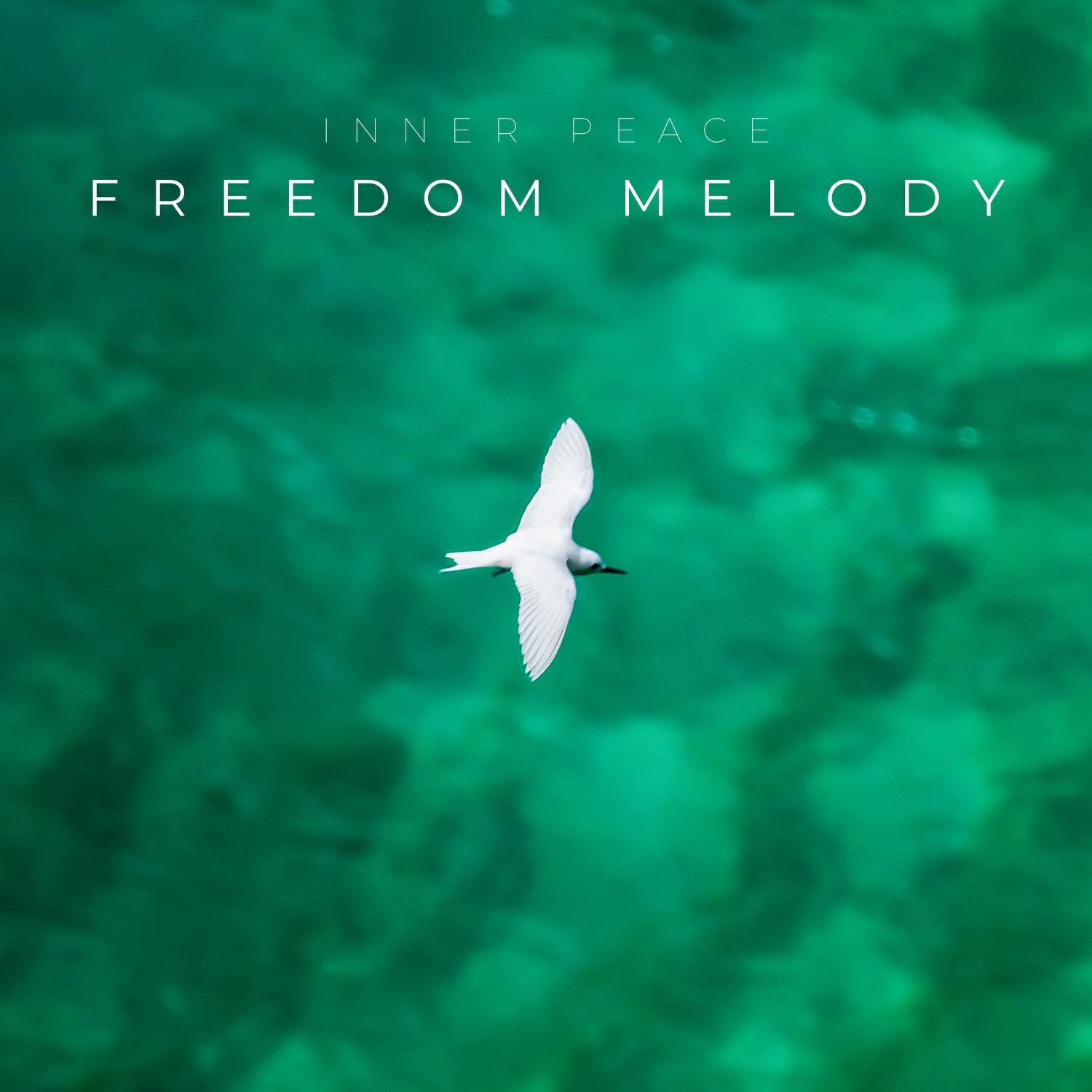 Релиз Freedom Melody