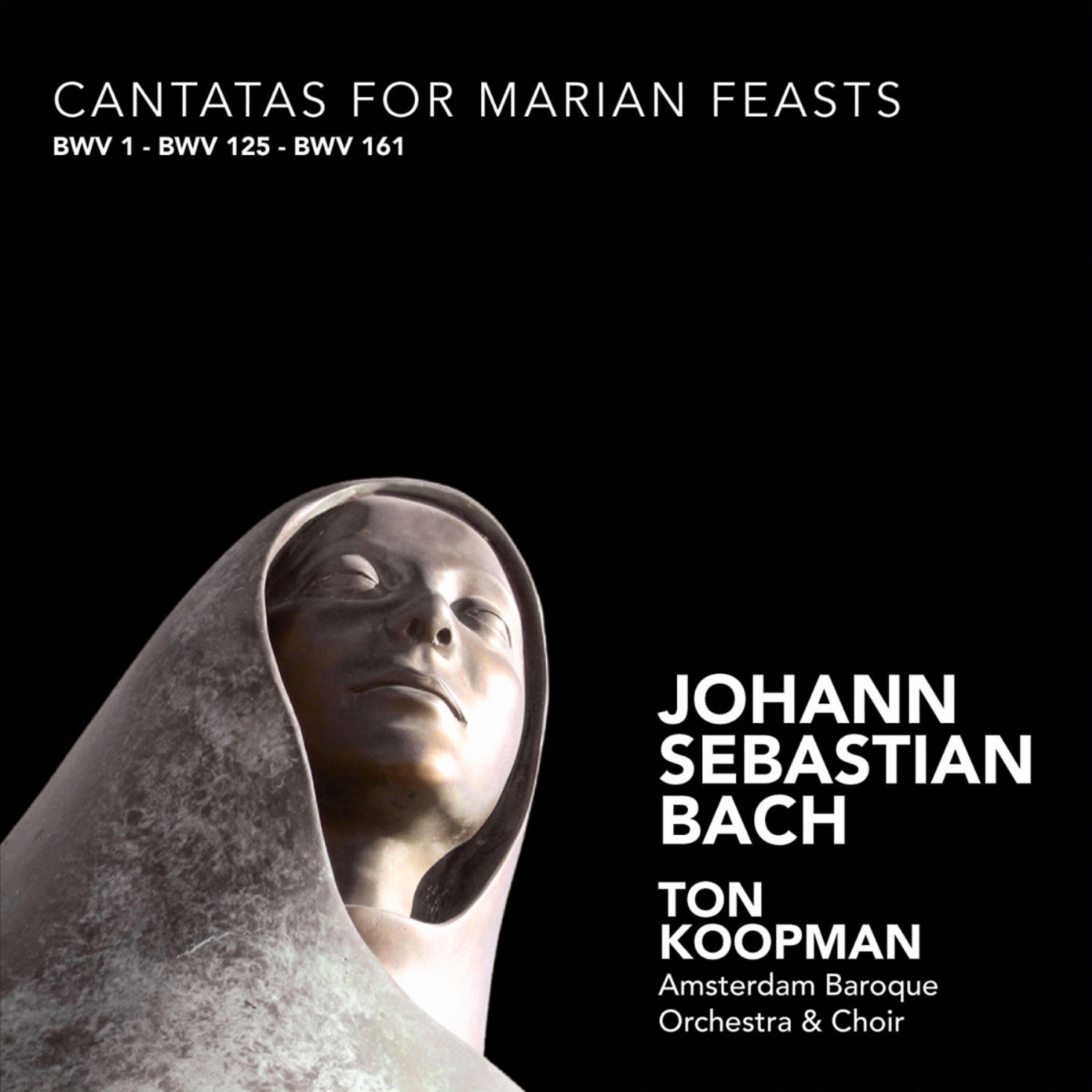 Релиз Bach: Cantatas for Marian Feasts