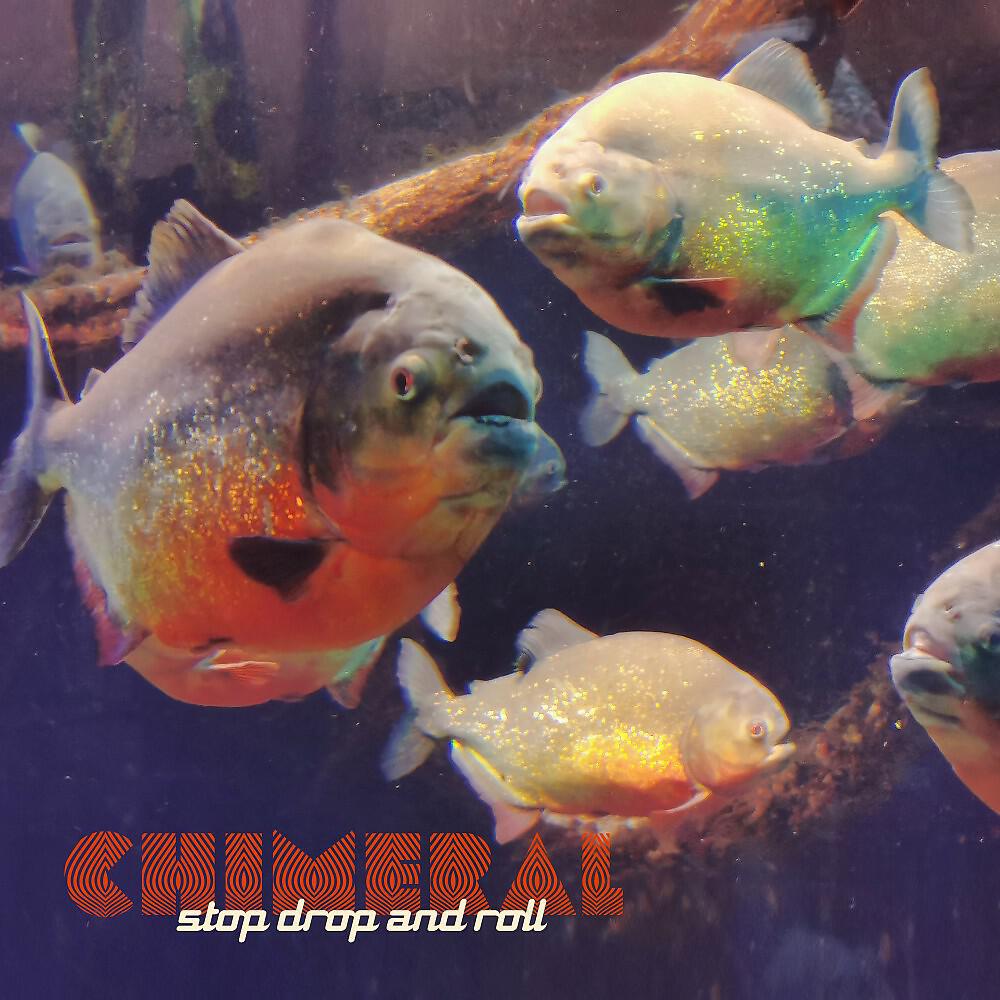 Релиз Stop Drop and Roll