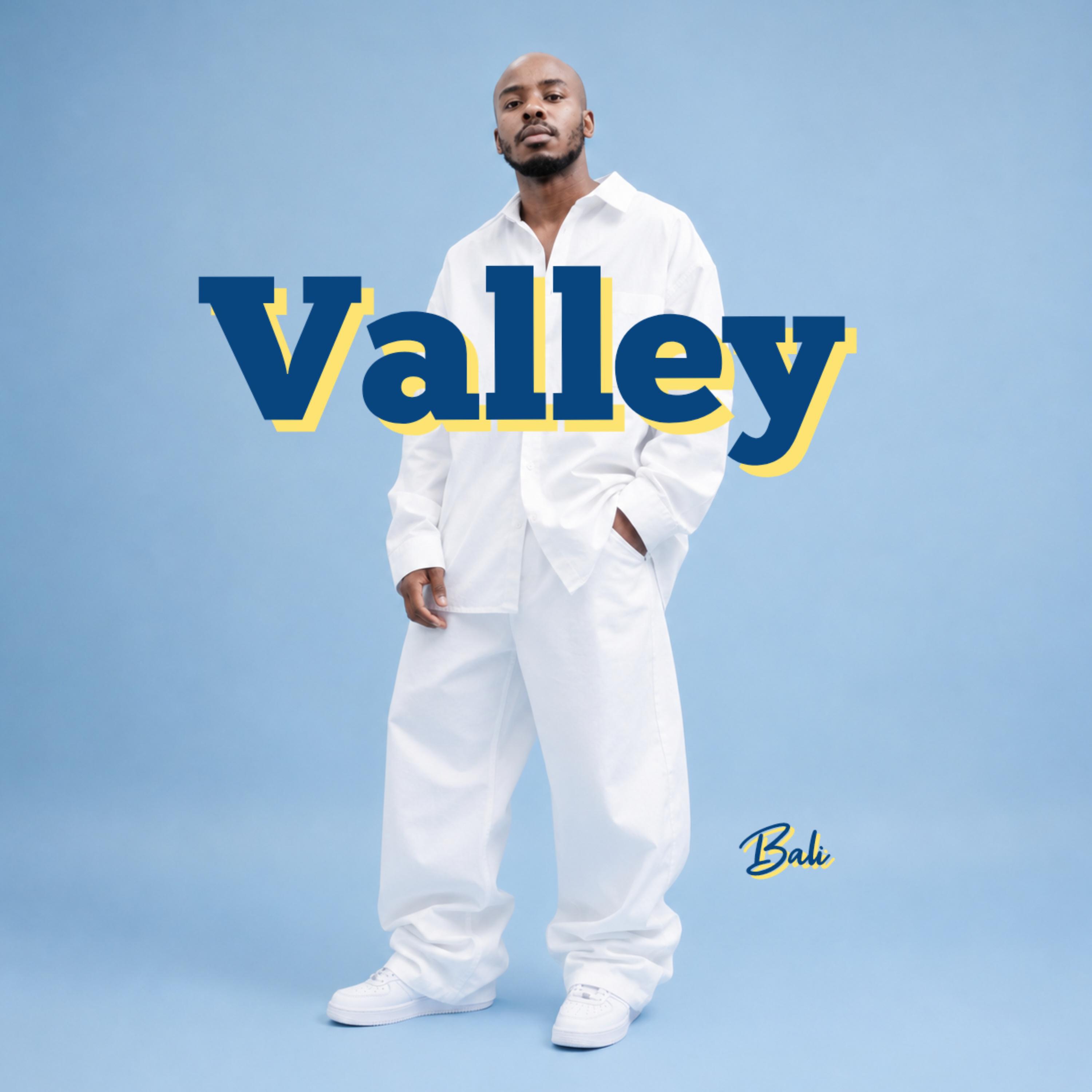 Релиз Valley