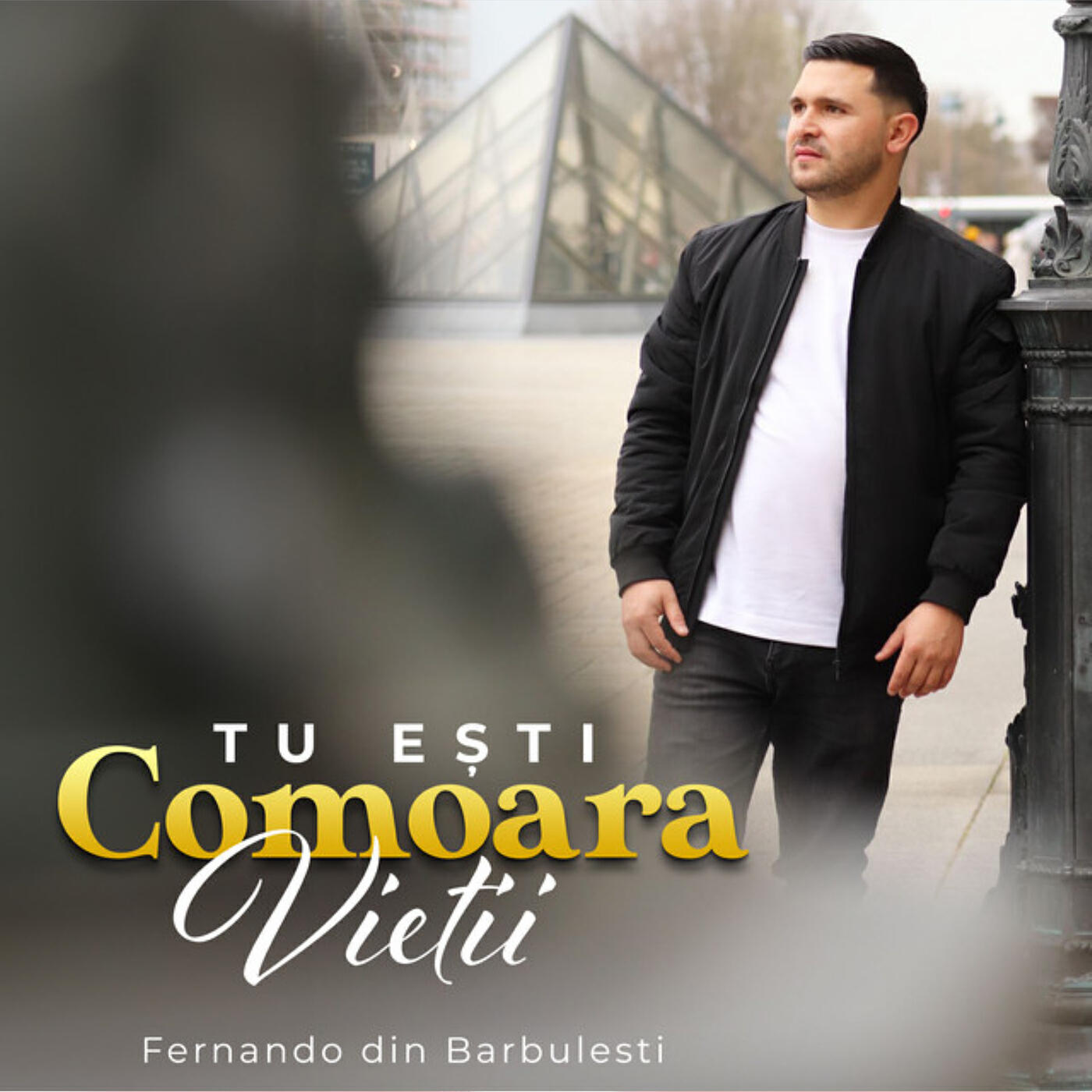 Релиз Tu Ești Comoara Vietii