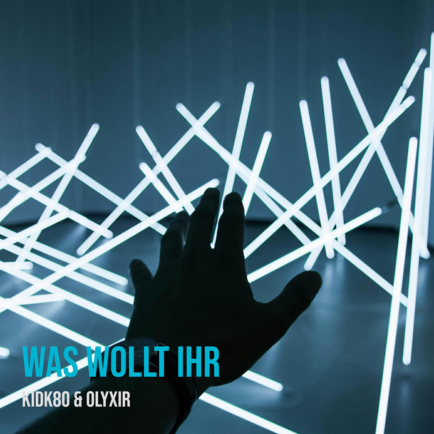 Релиз Was Wollt Ihr