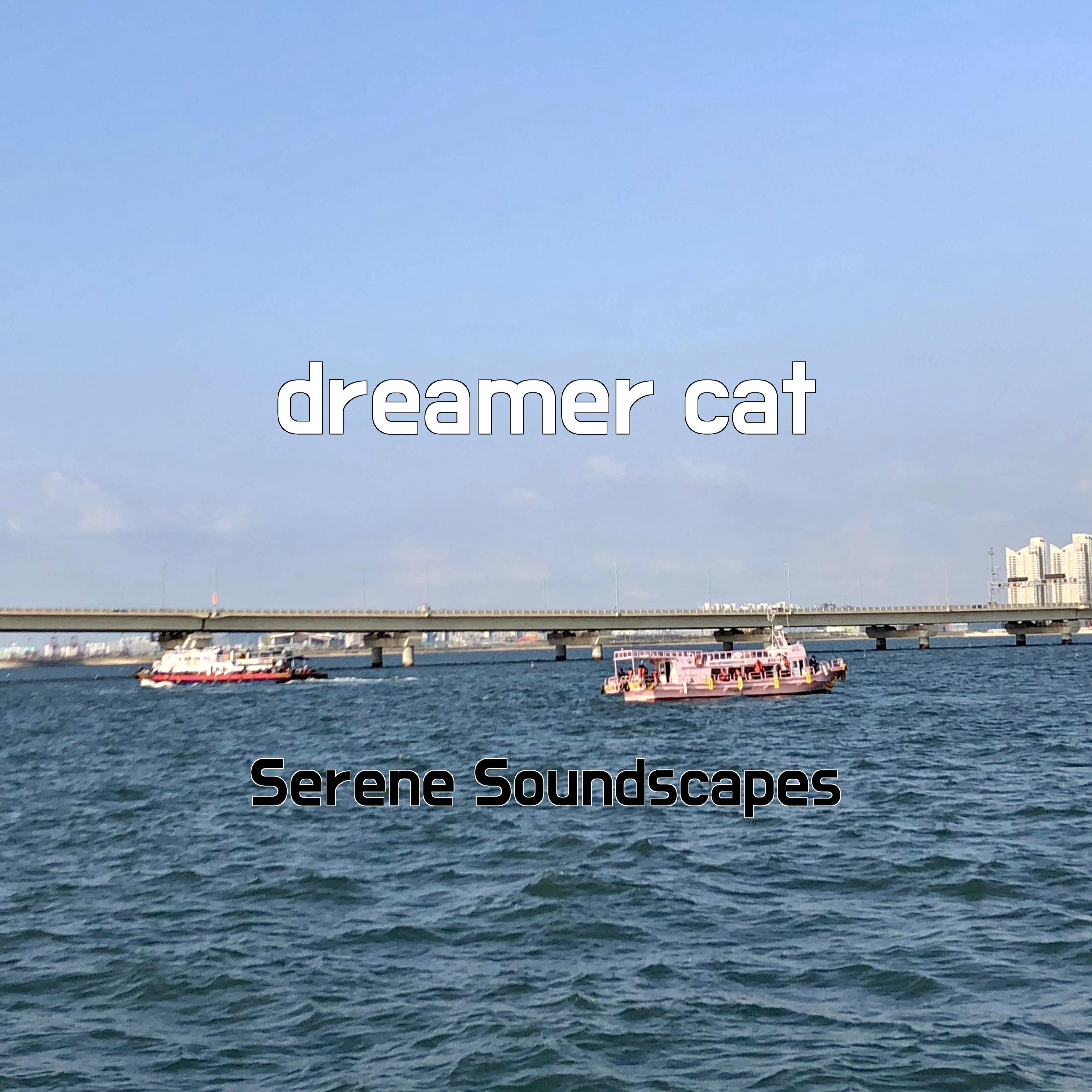 Релиз dreamer cat