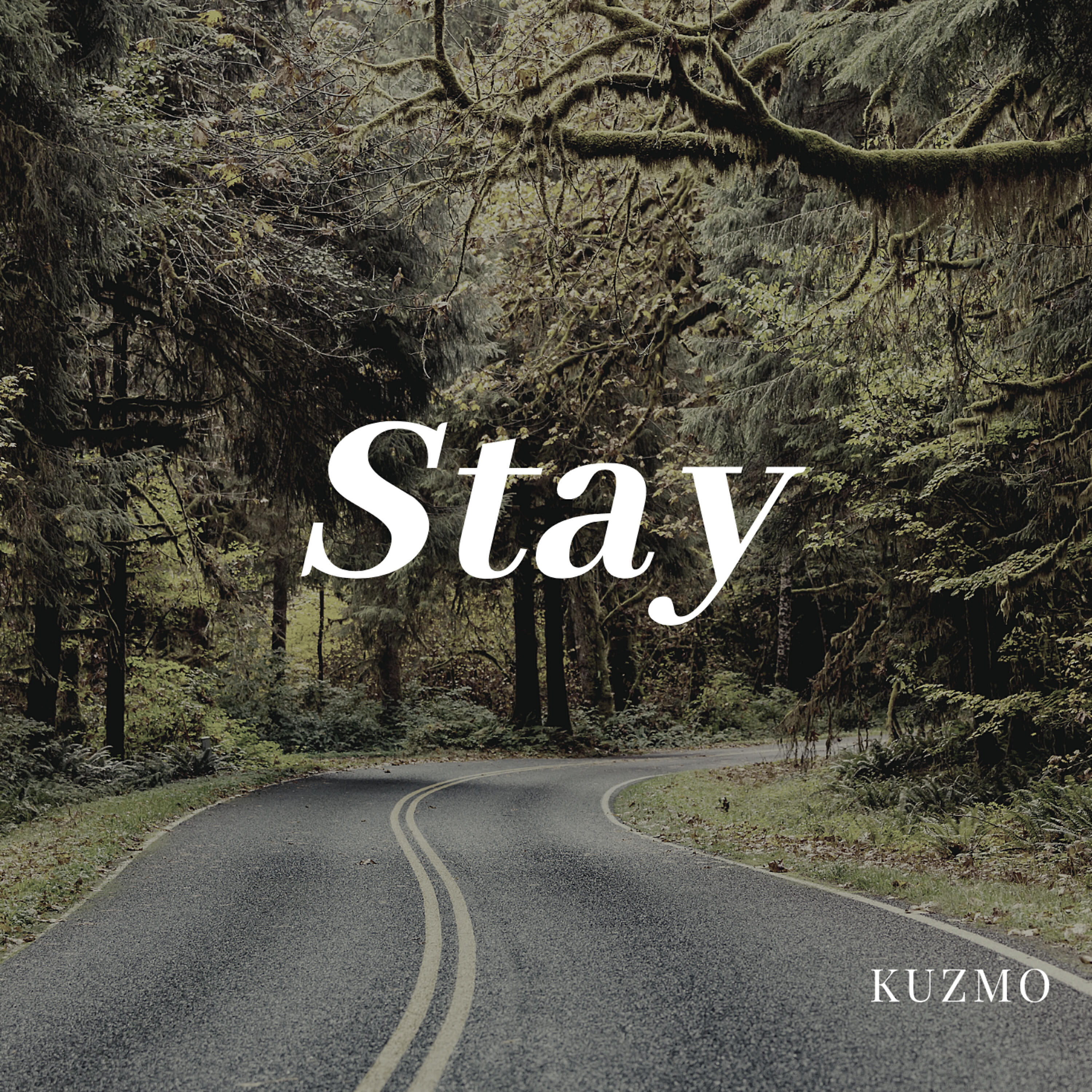 Релиз Stay