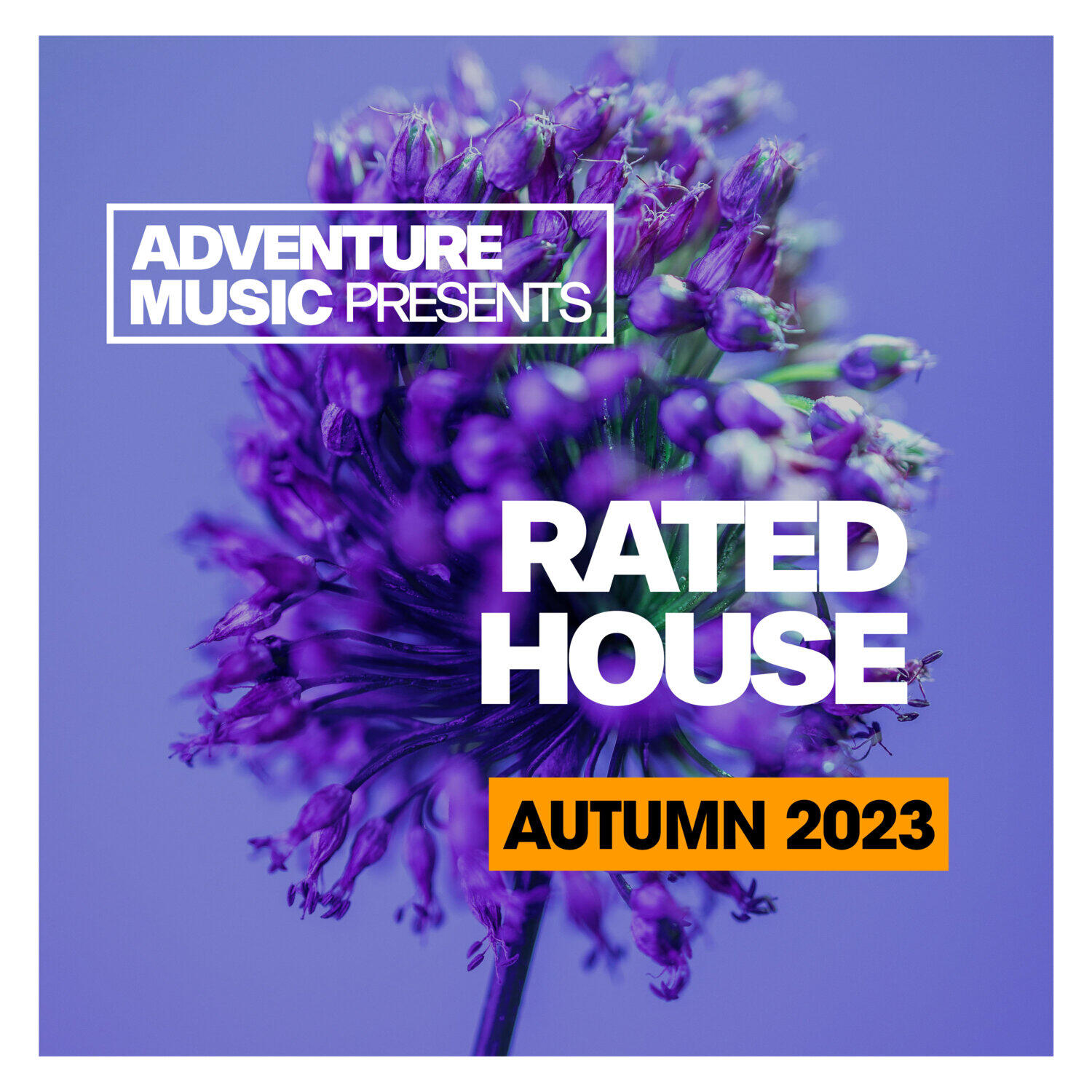 Релиз Rated House 2023