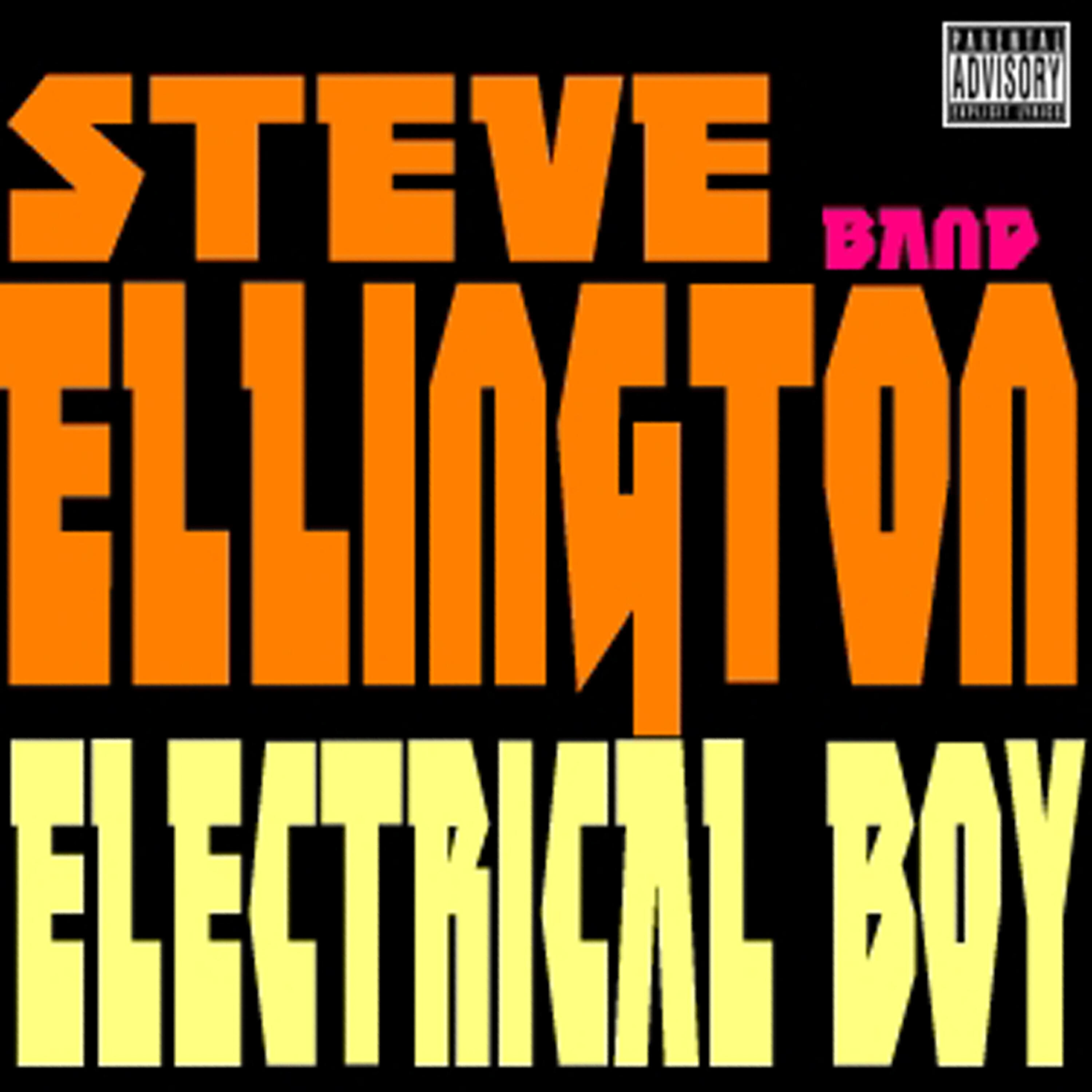 Постер альбома Electrical Boy