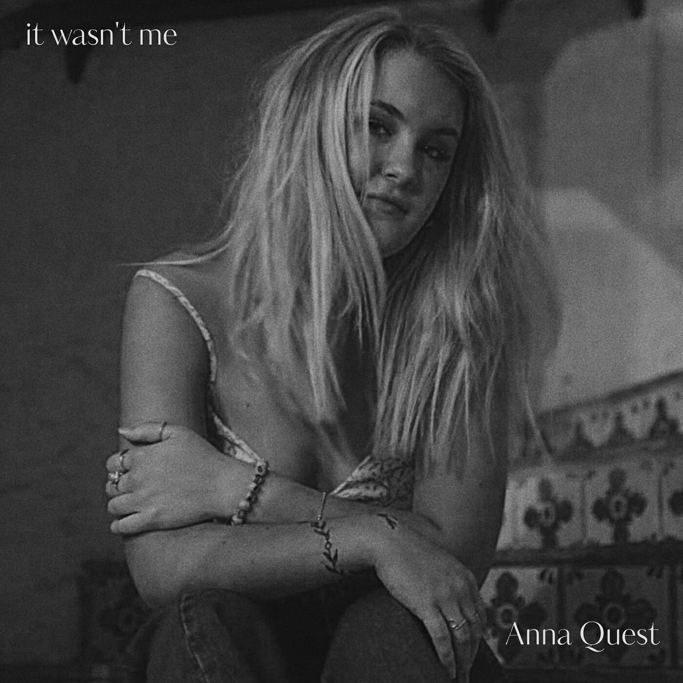 Релиз It Wasn't Me