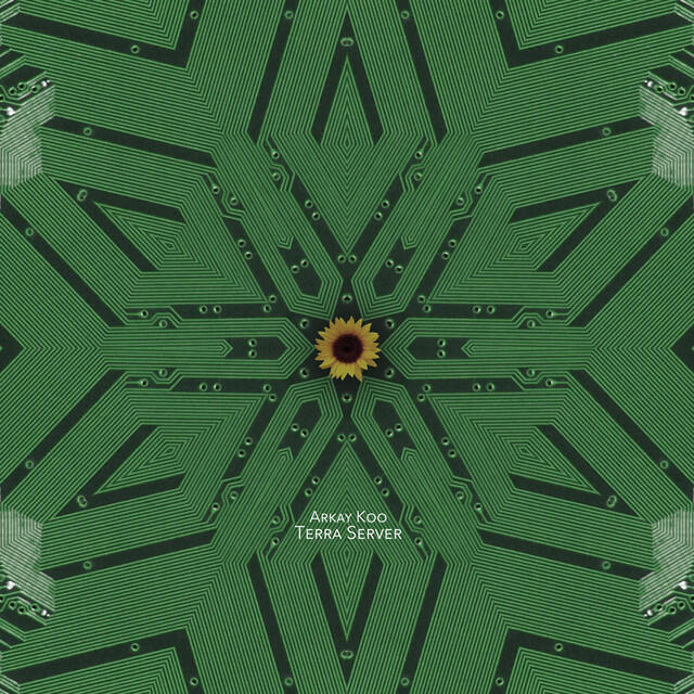 Релиз Terra Server