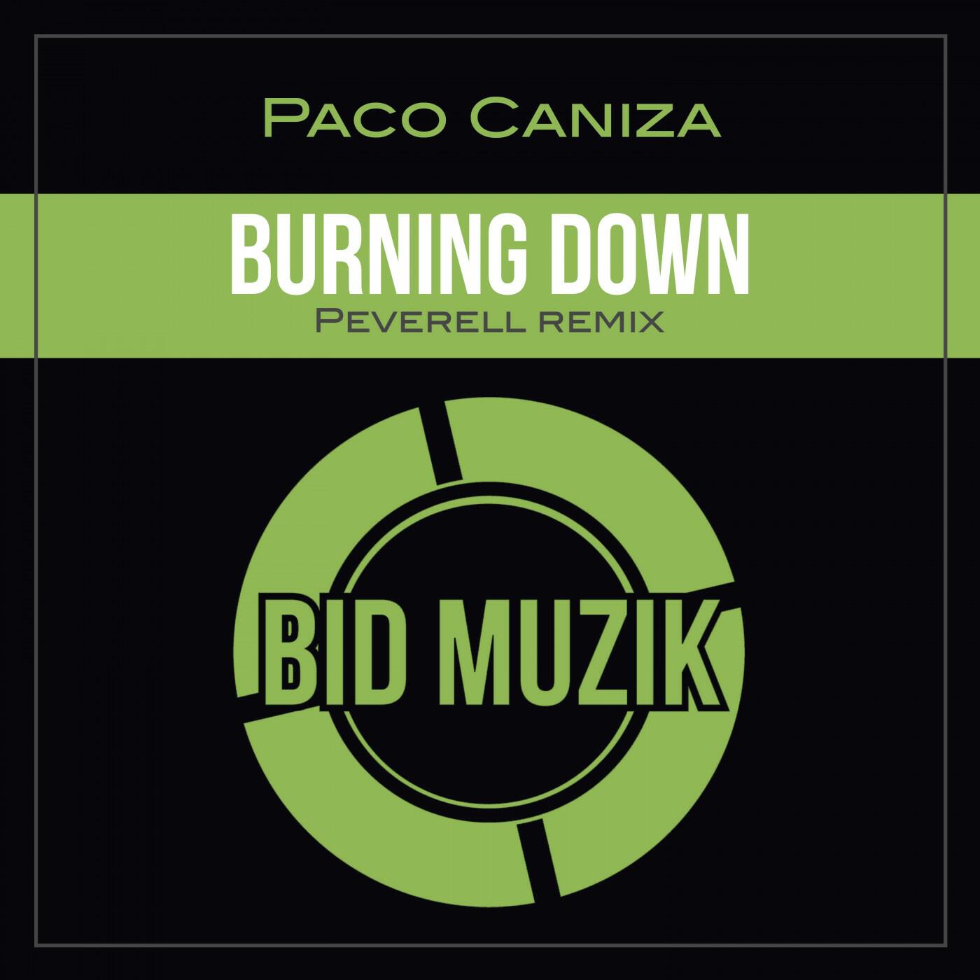Релиз Burning Down (Peverell Remix)