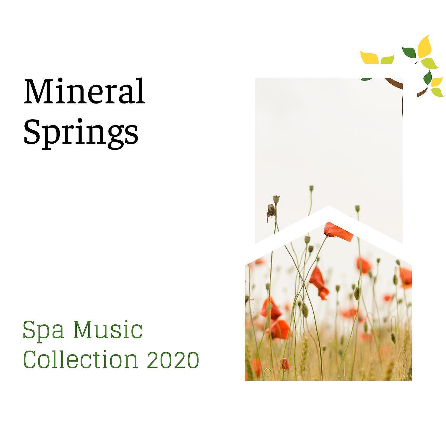 Релиз Mineral Springs - Spa Music Collection 2020