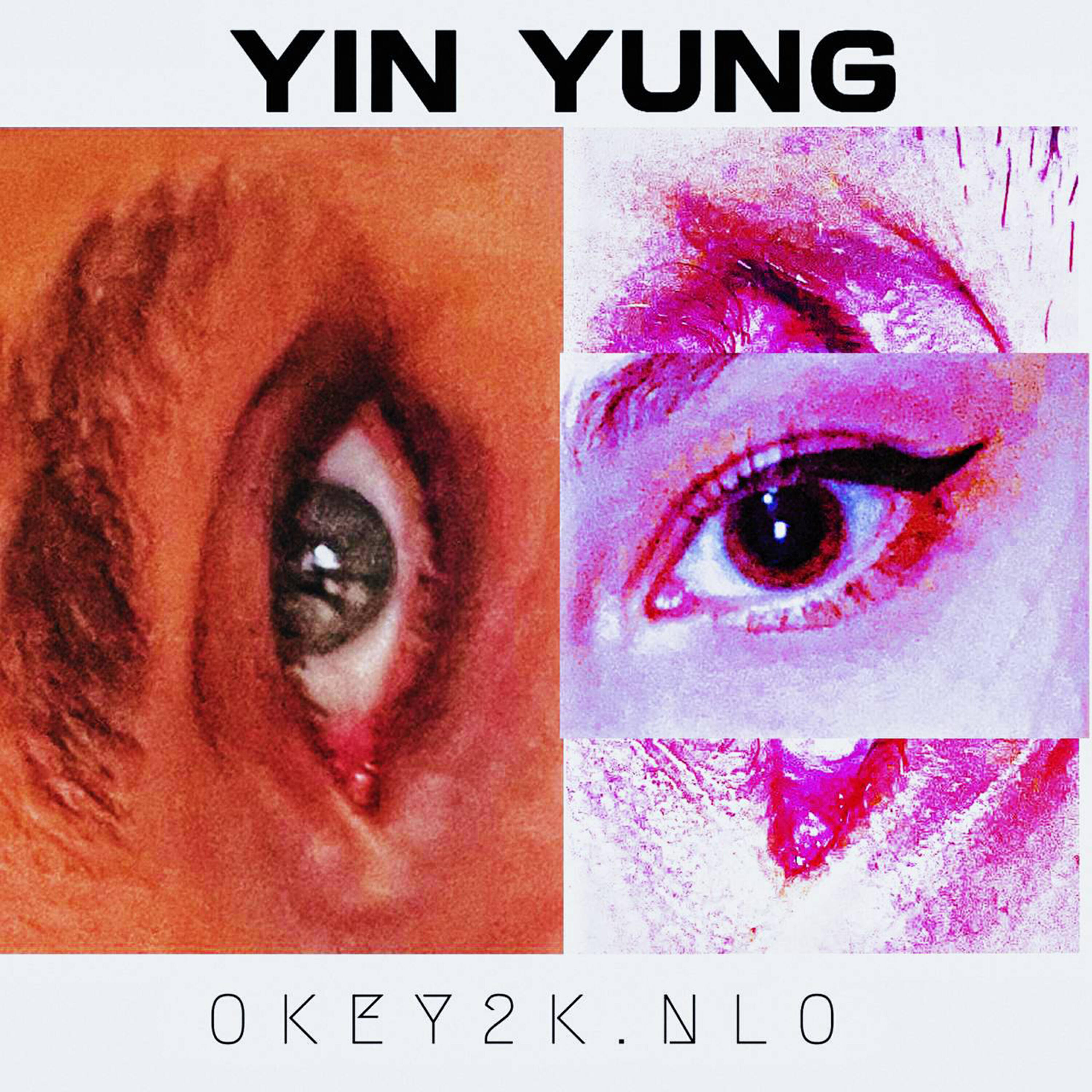 Постер альбома YIN YUNG