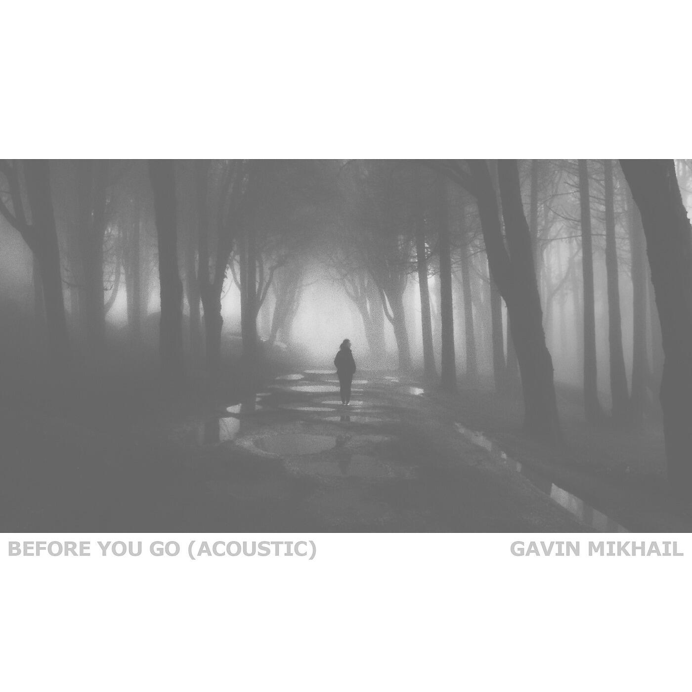 Постер альбома Before You Go (Acoustic)