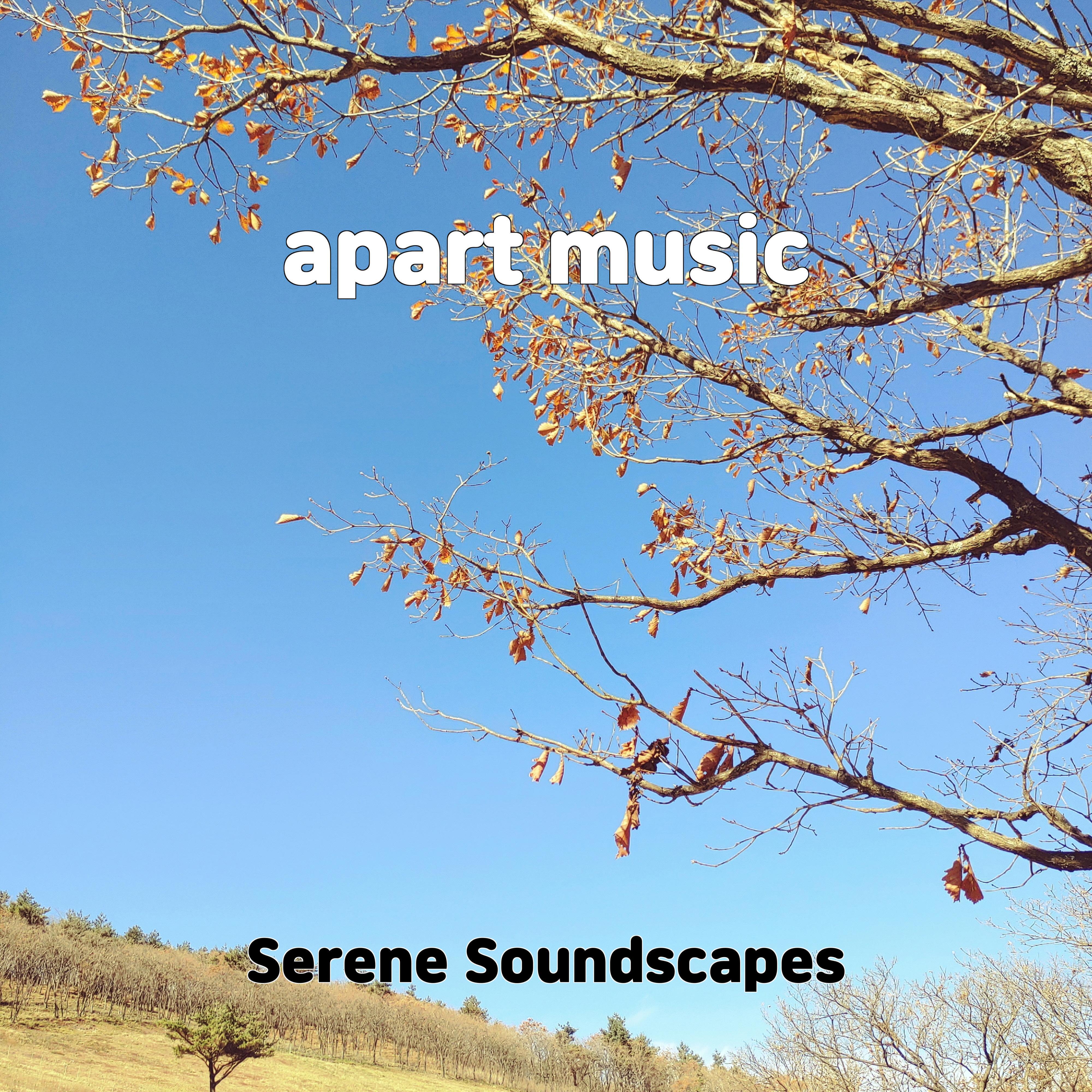 Релиз apart music