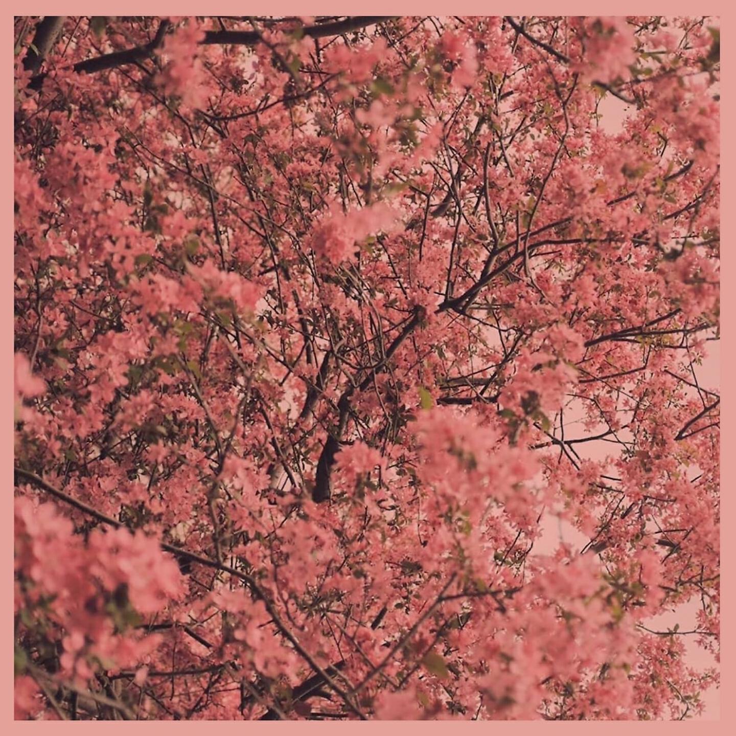 Релиз Dismissing Feelings