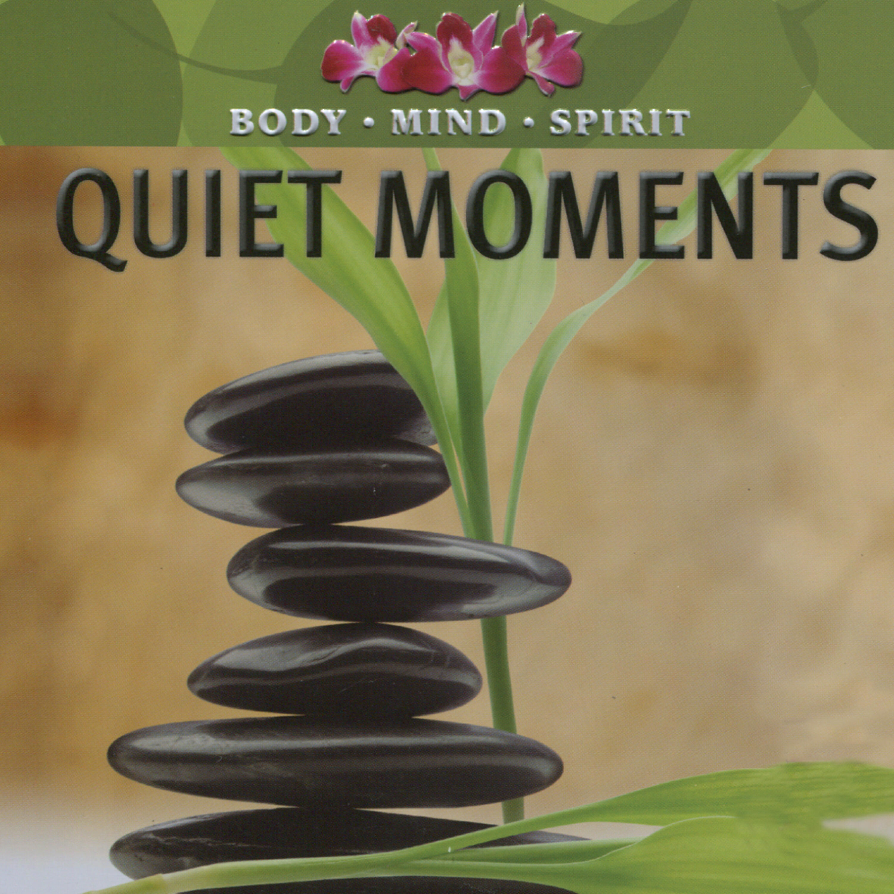 Релиз Quiet Moments